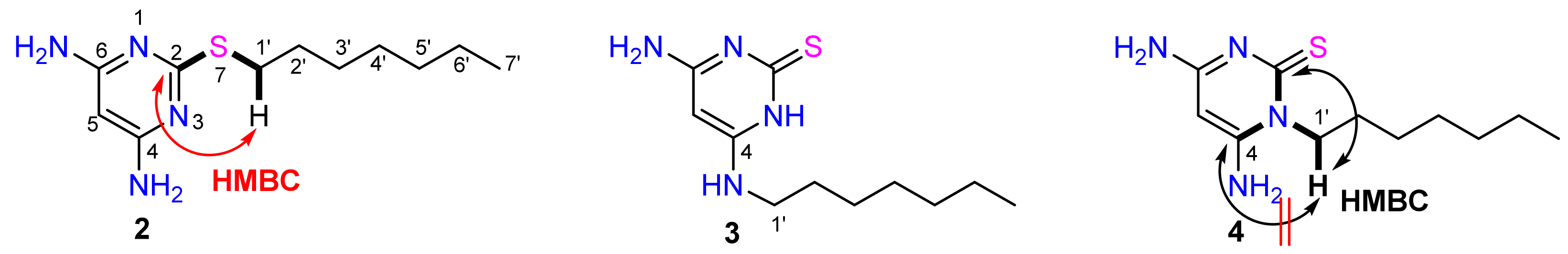 Molbank 2025 m1965 ch001