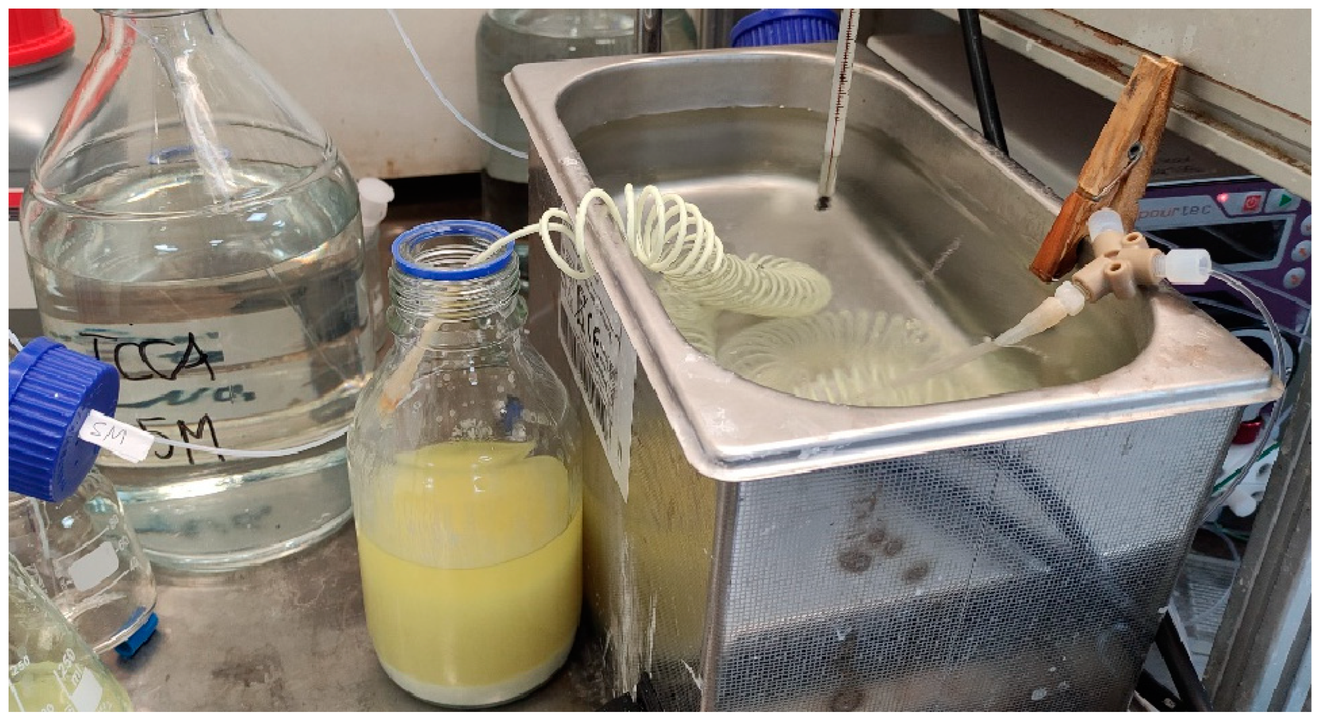 Molbank 2025 m1969 g002 Molbank 2025 m1969 g002