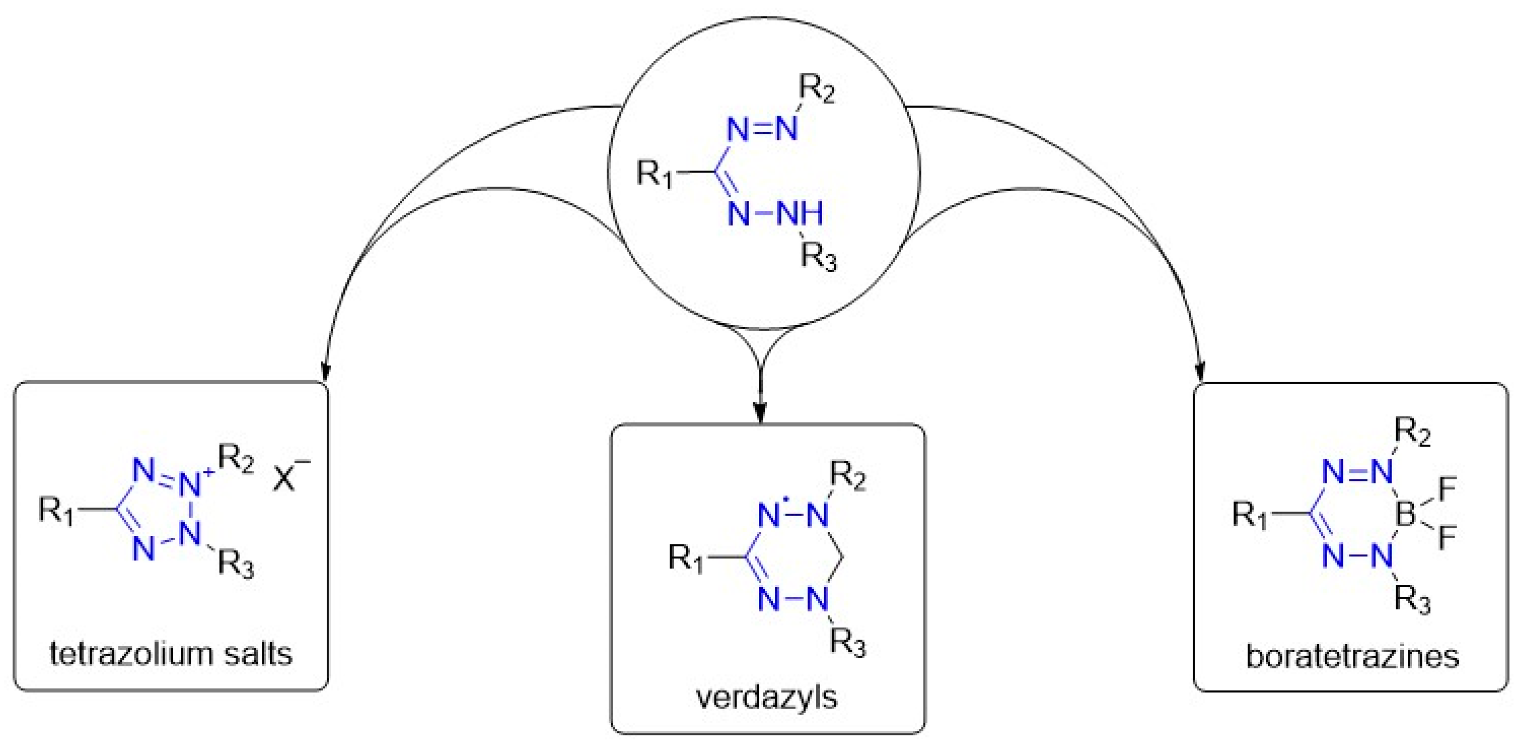 Molbank 2025 m1976 g001