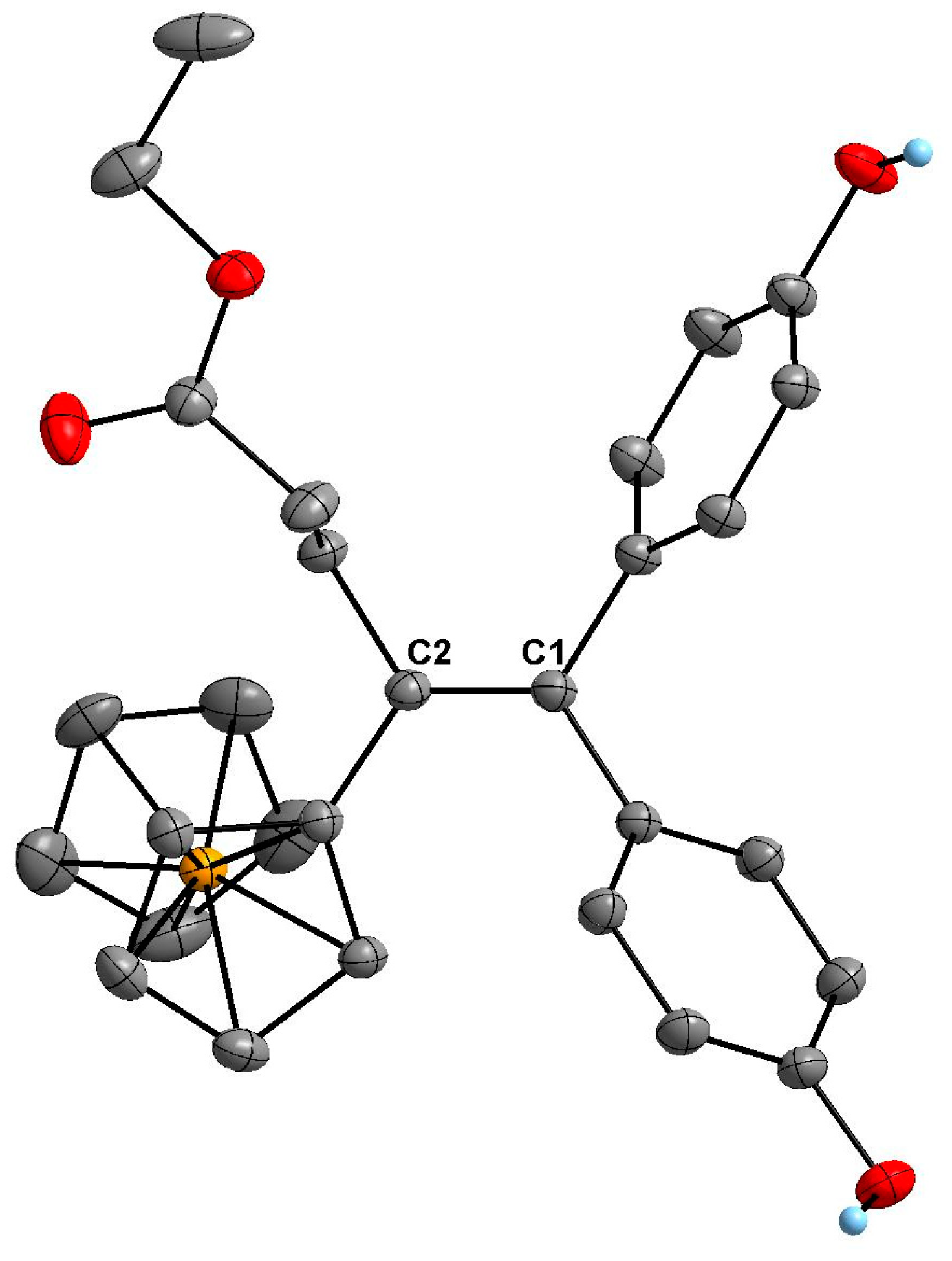 Molbank 2025 m1980 g002