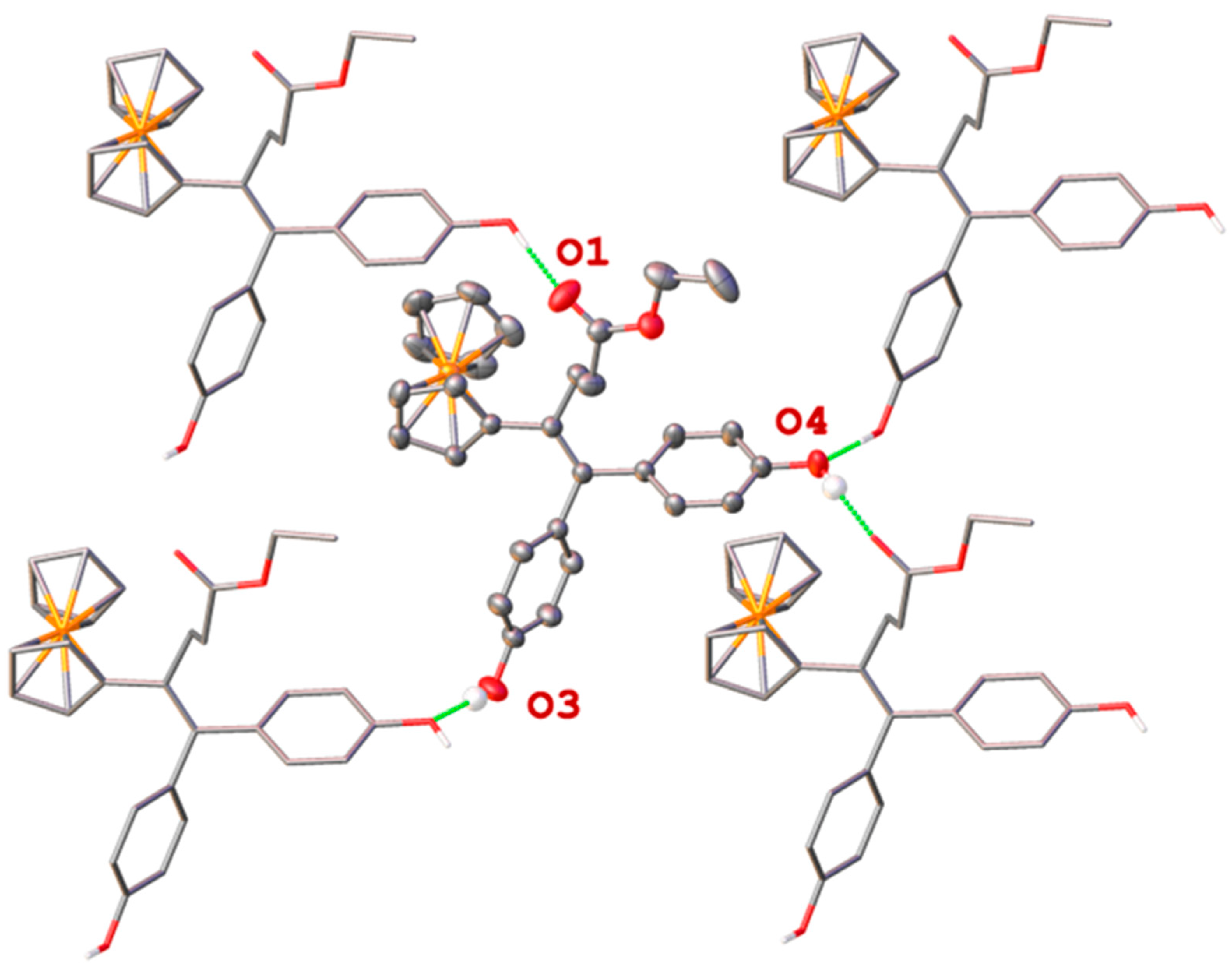 Molbank 2025 m1980 g003