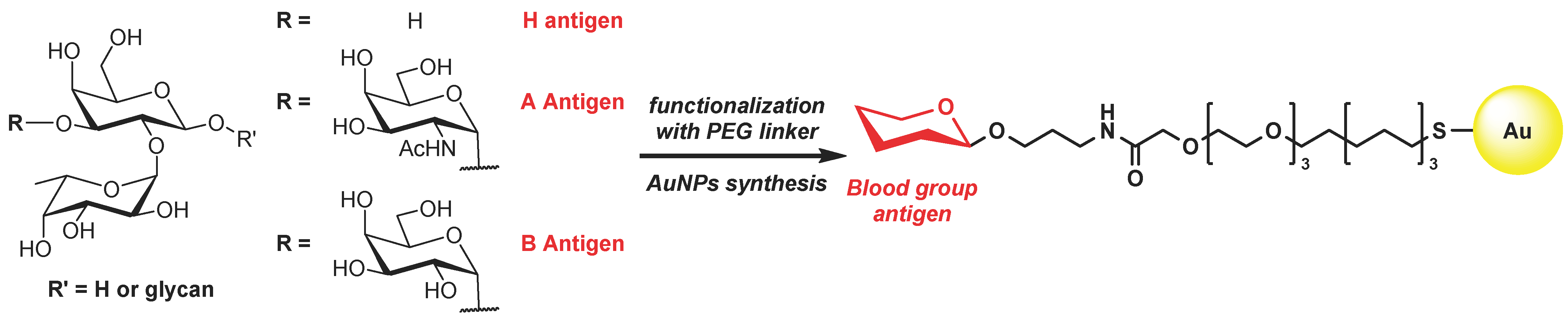 Molbank 2025 m1985 g001