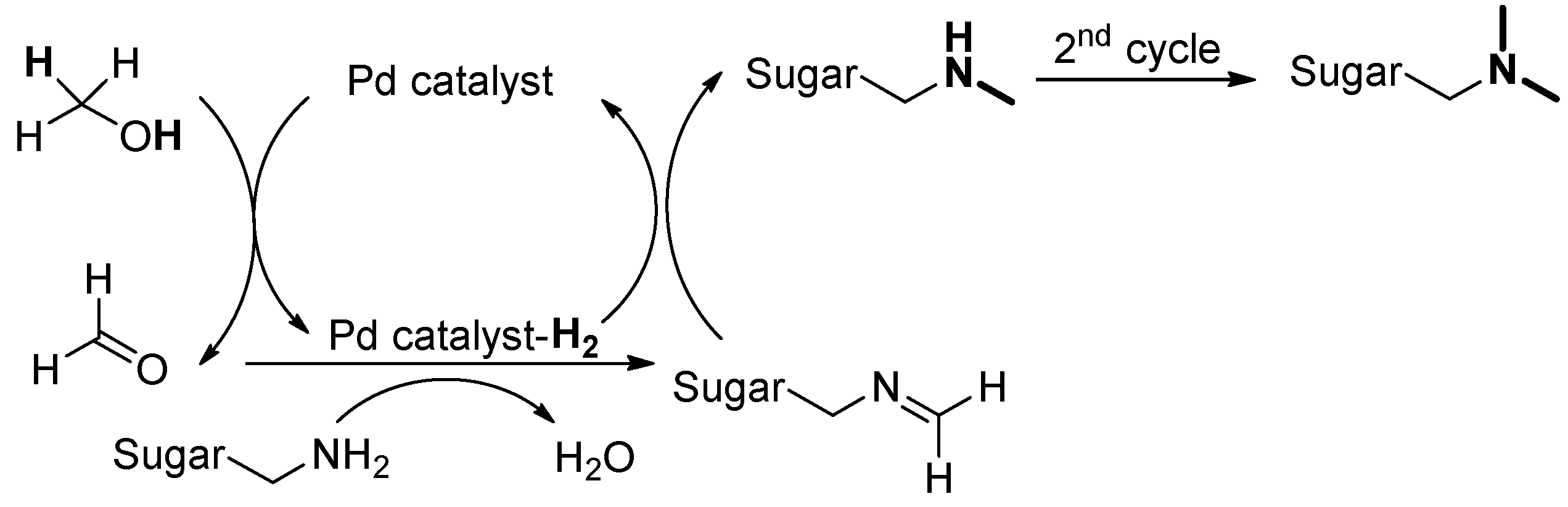 Molbank 2025 m1985 sch004
