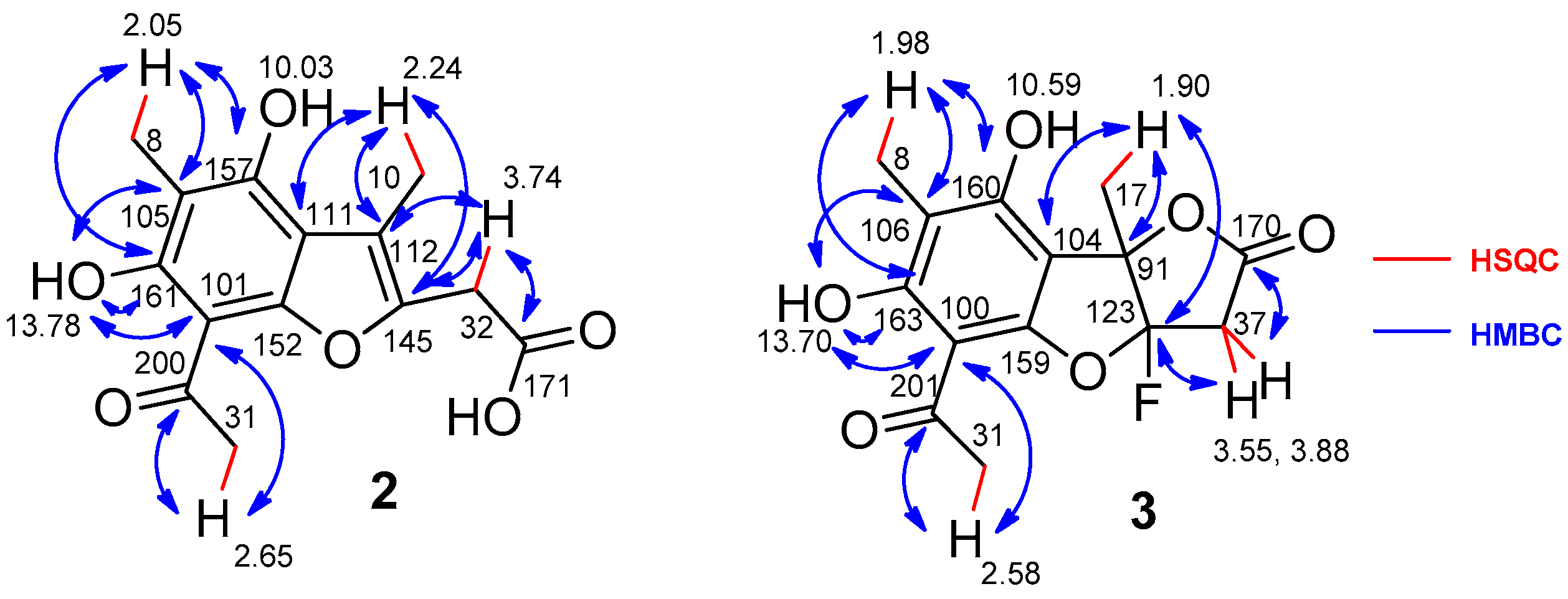 Molbank 2025 m1995 g001