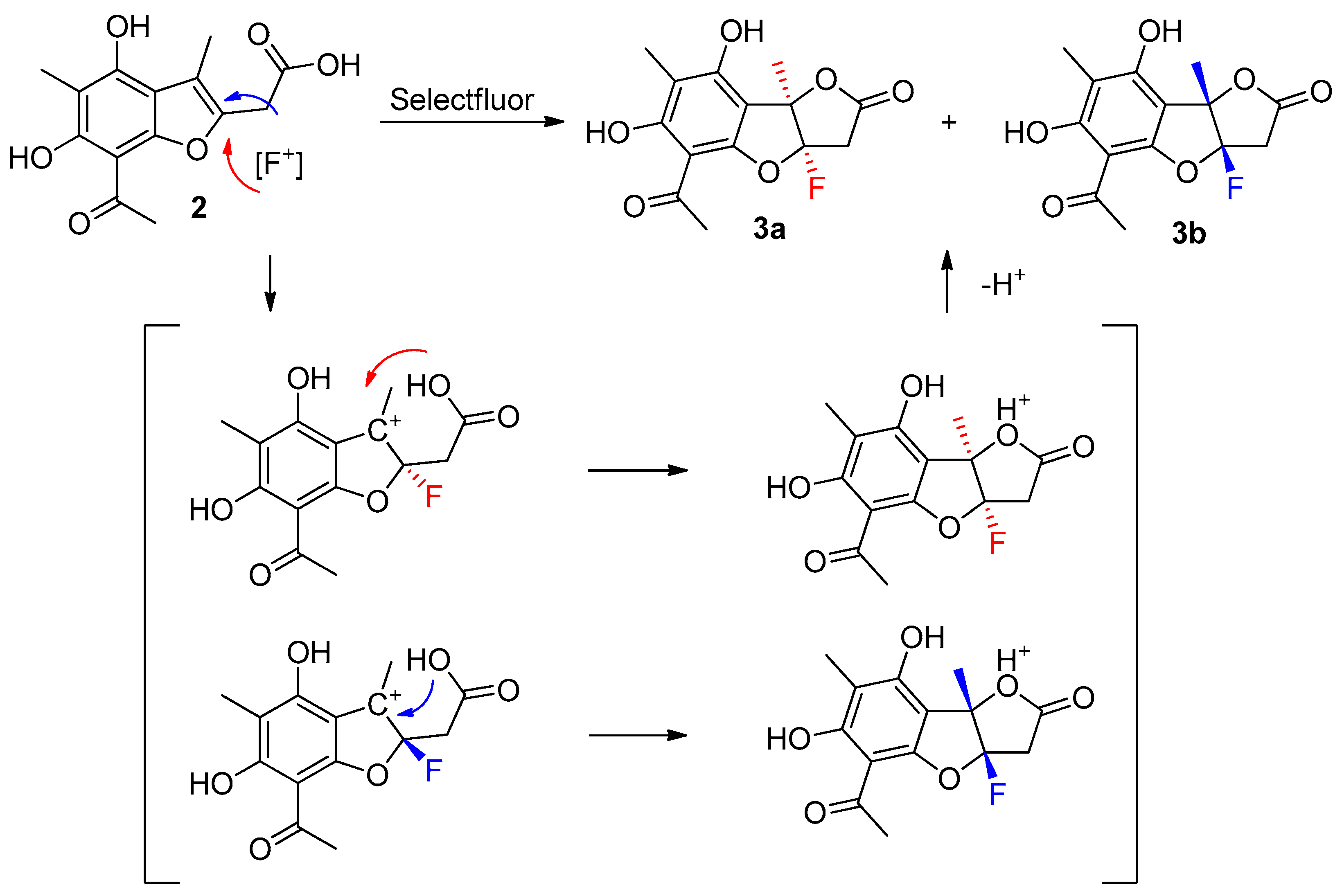Molbank 2025 m1995 sch004