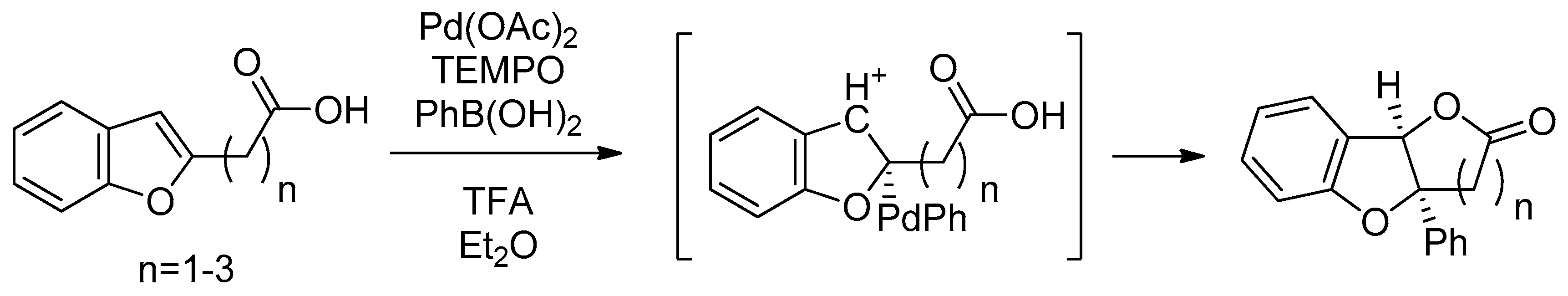Molbank 2025 m1995 sch005