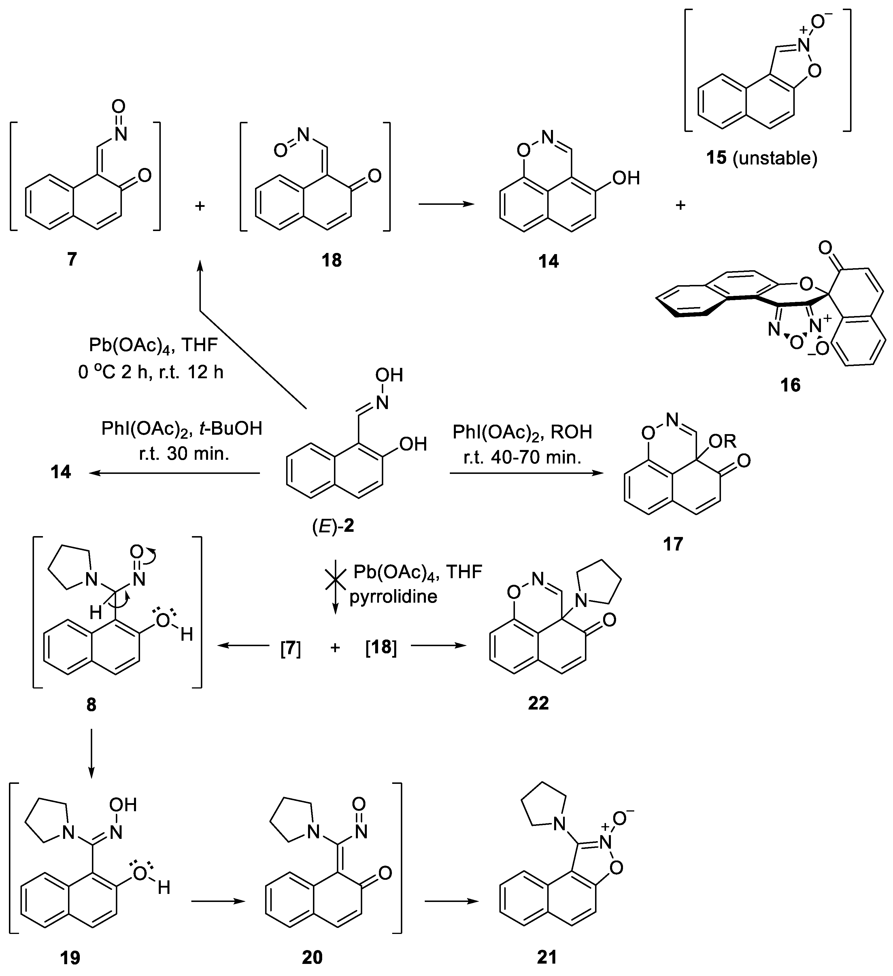 Molbank 2025 m1999 sch003