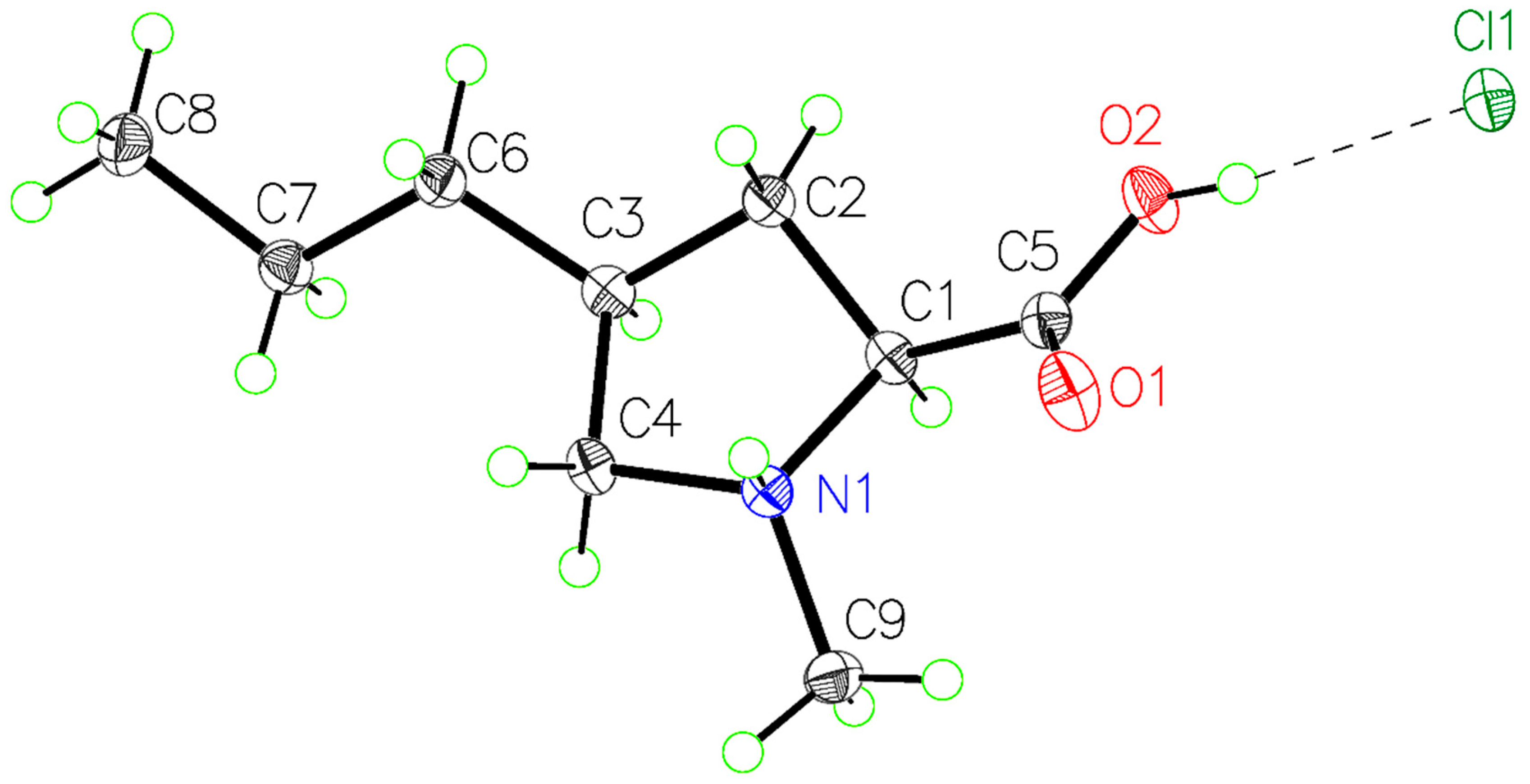 Molbank 2025 m2003 g002