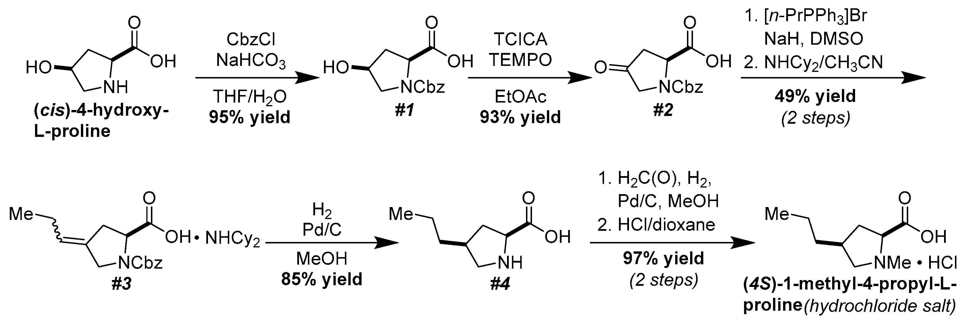 Molbank 2025 m2003 sch001