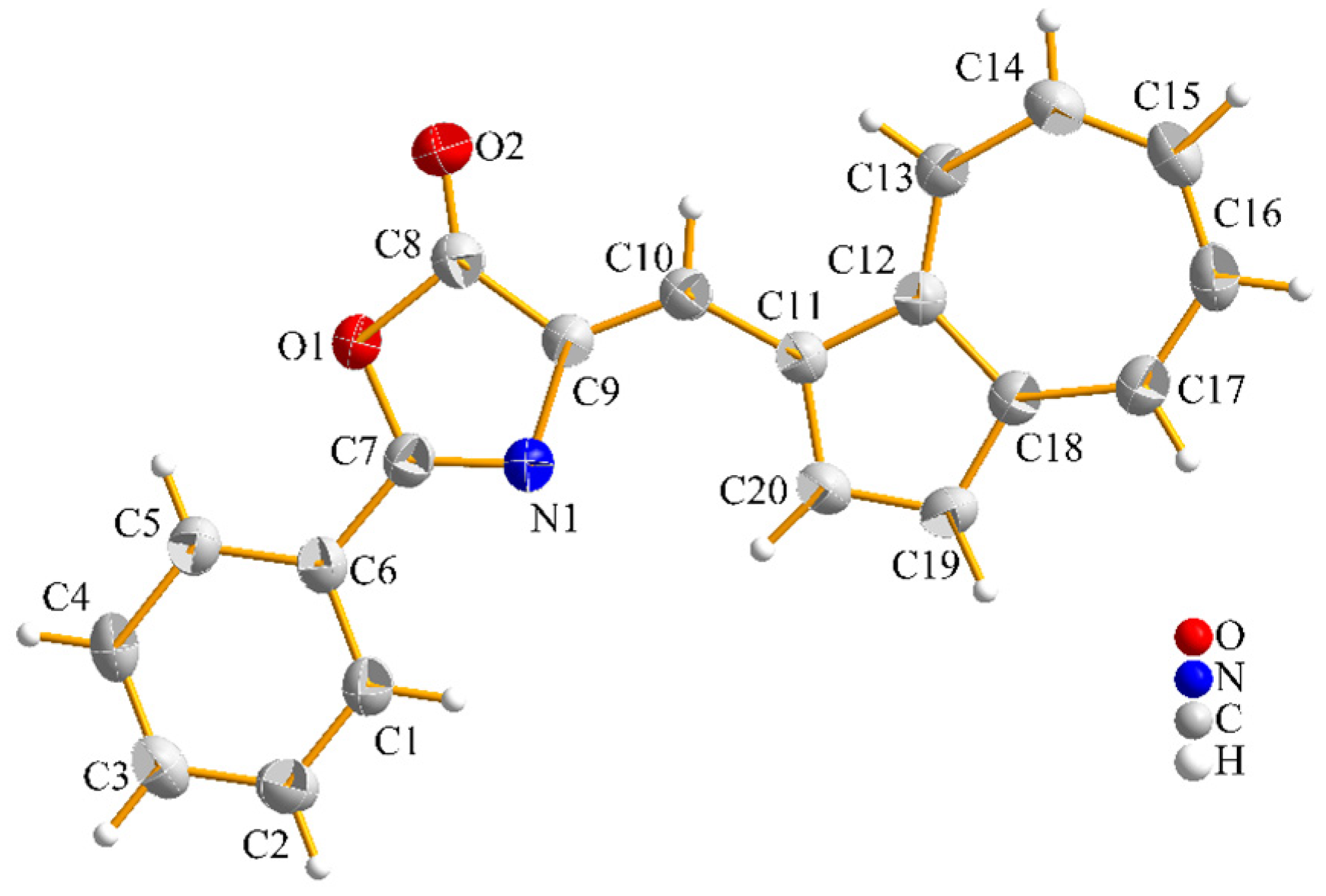 Molbank 2025 m2006 g002
