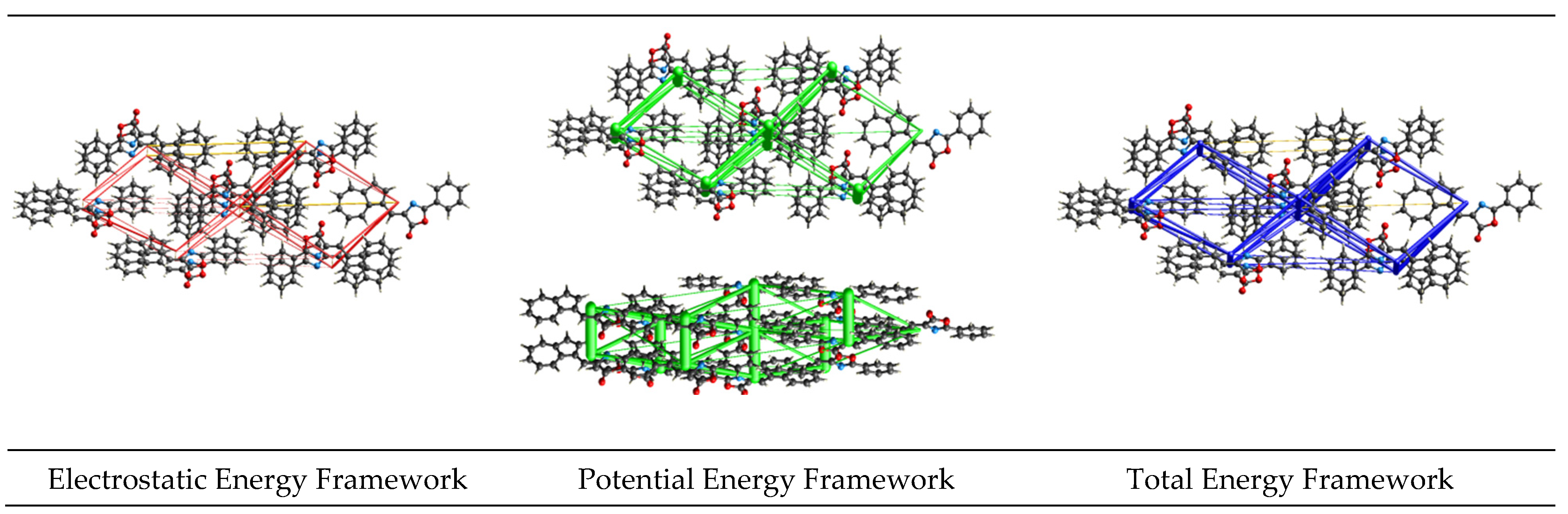 Molbank 2025 m2006 g005