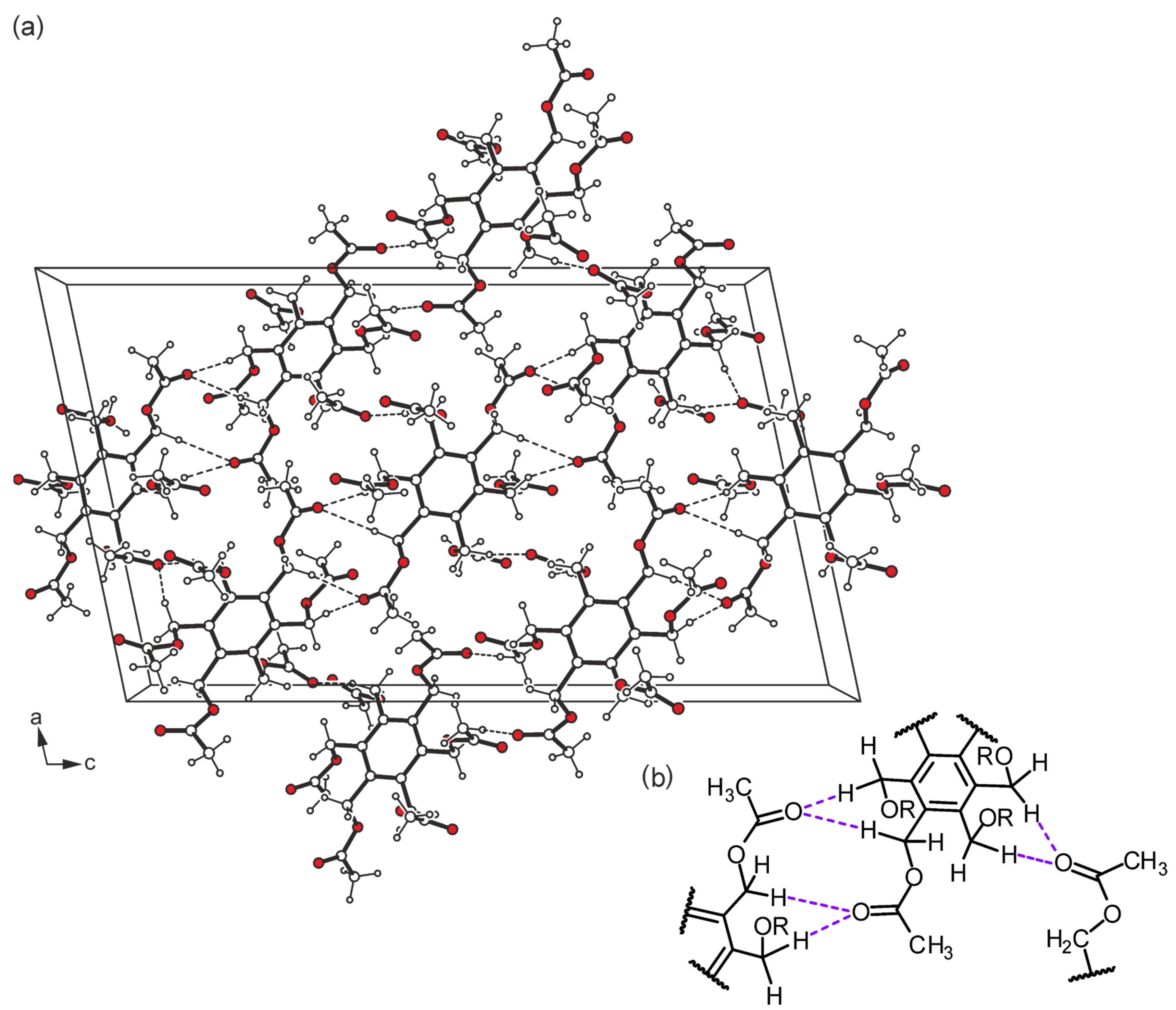Molbank 2025 m2008 g003