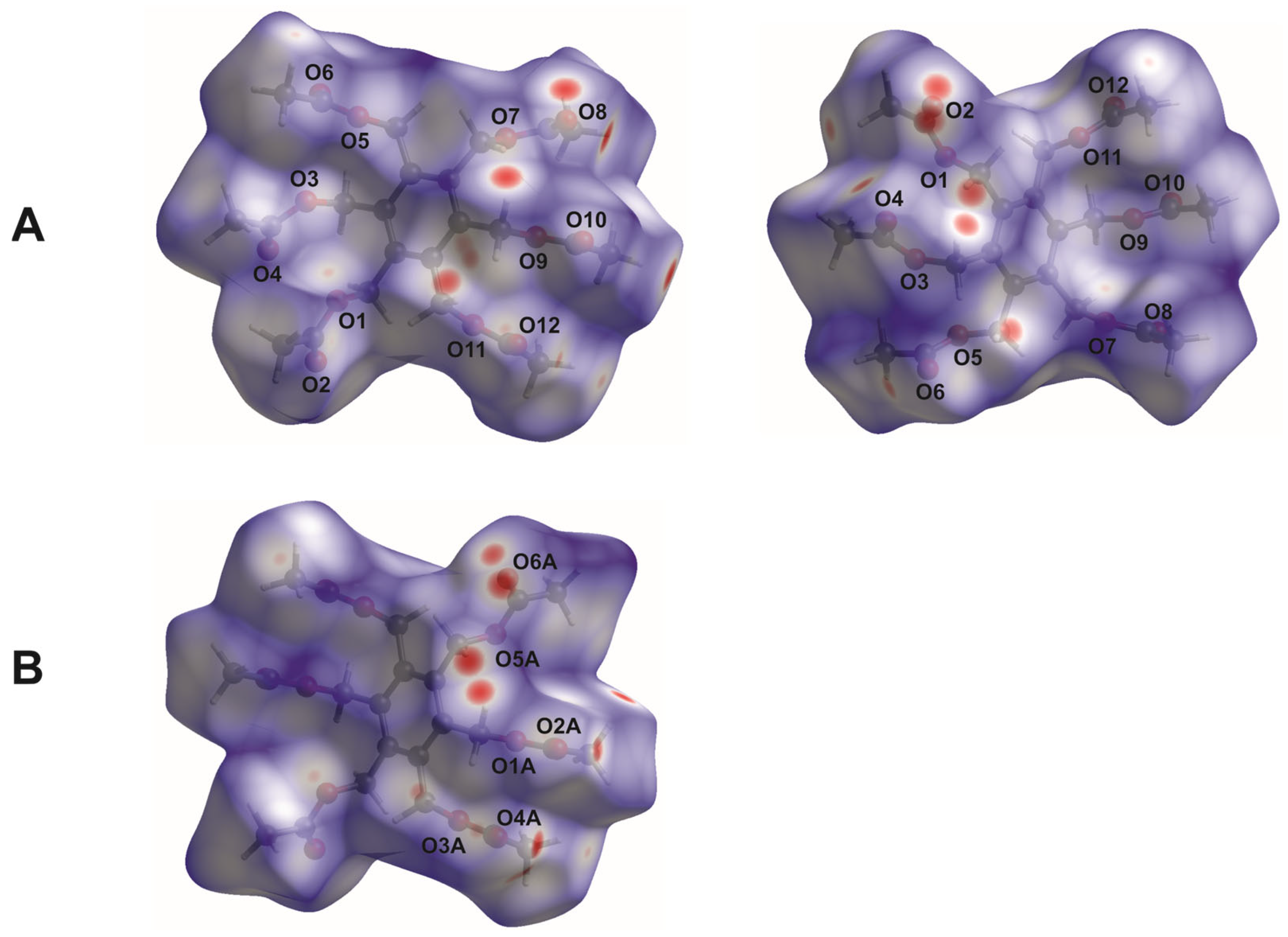 Molbank 2025 m2008 g004