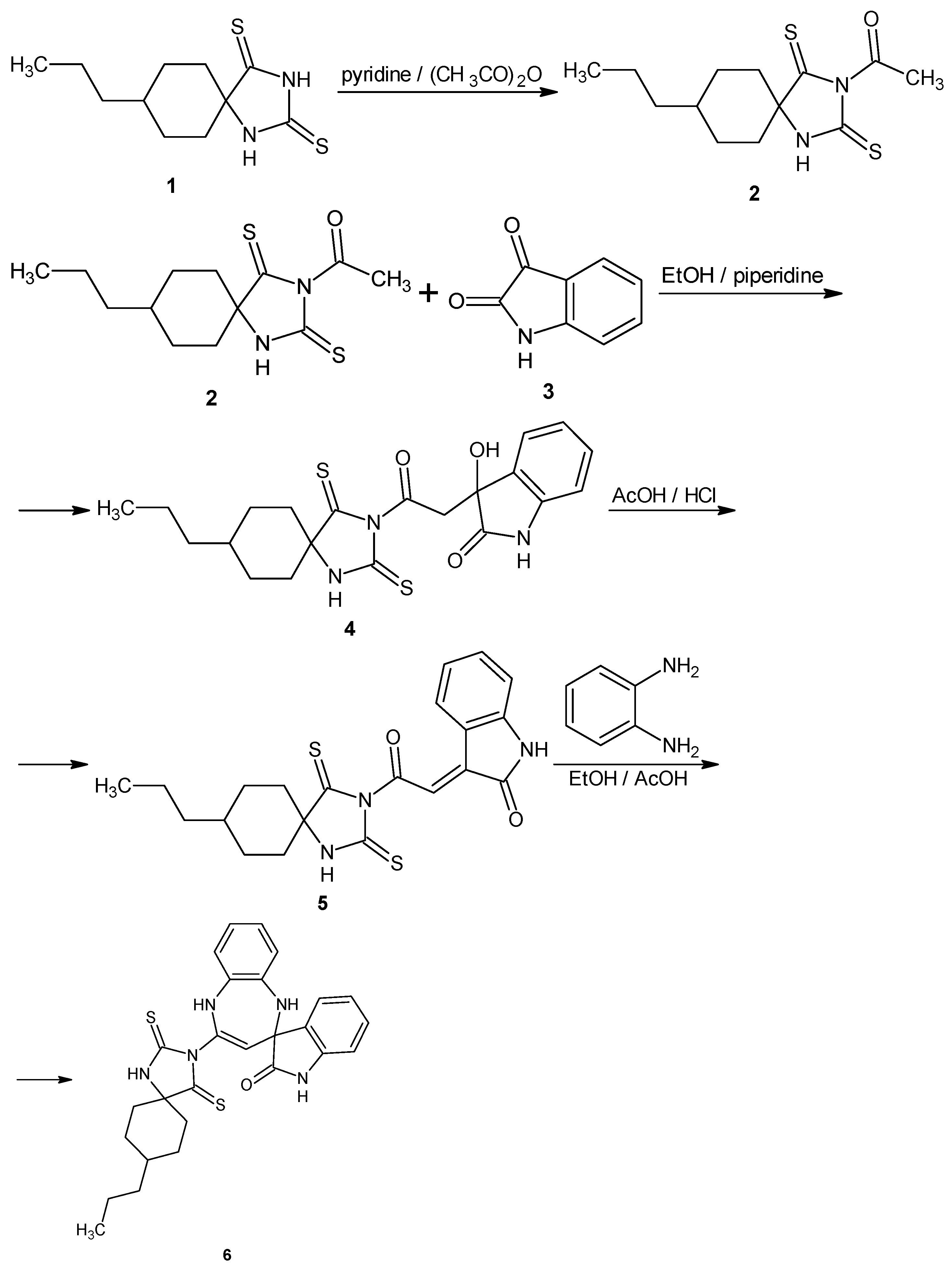 Molbank 2025 m2011 g002