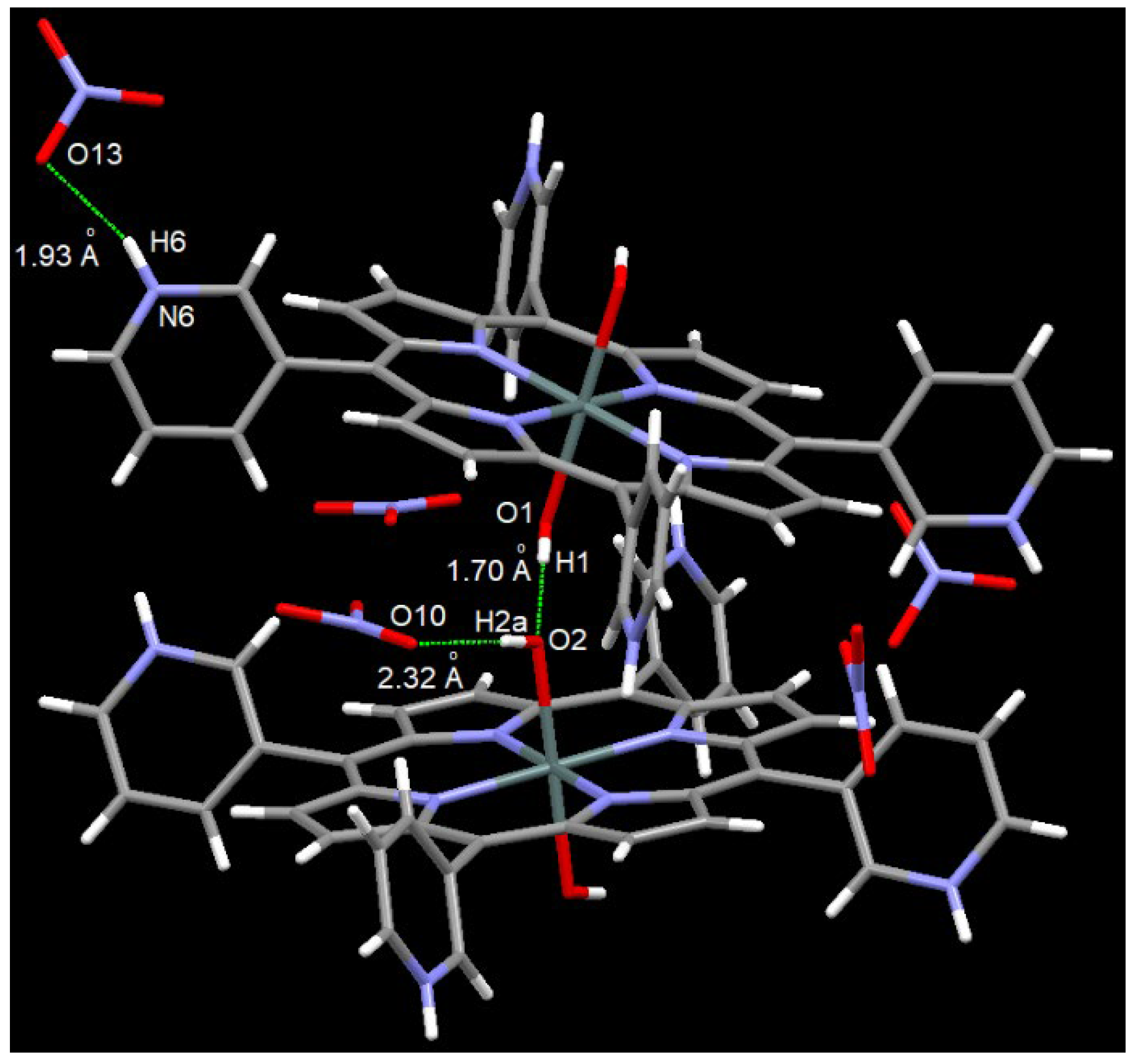 Molbank 2025 m2014 g002