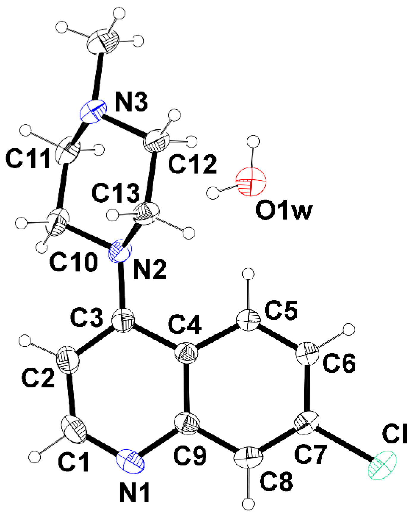 Molbank 2025 m2016 g001