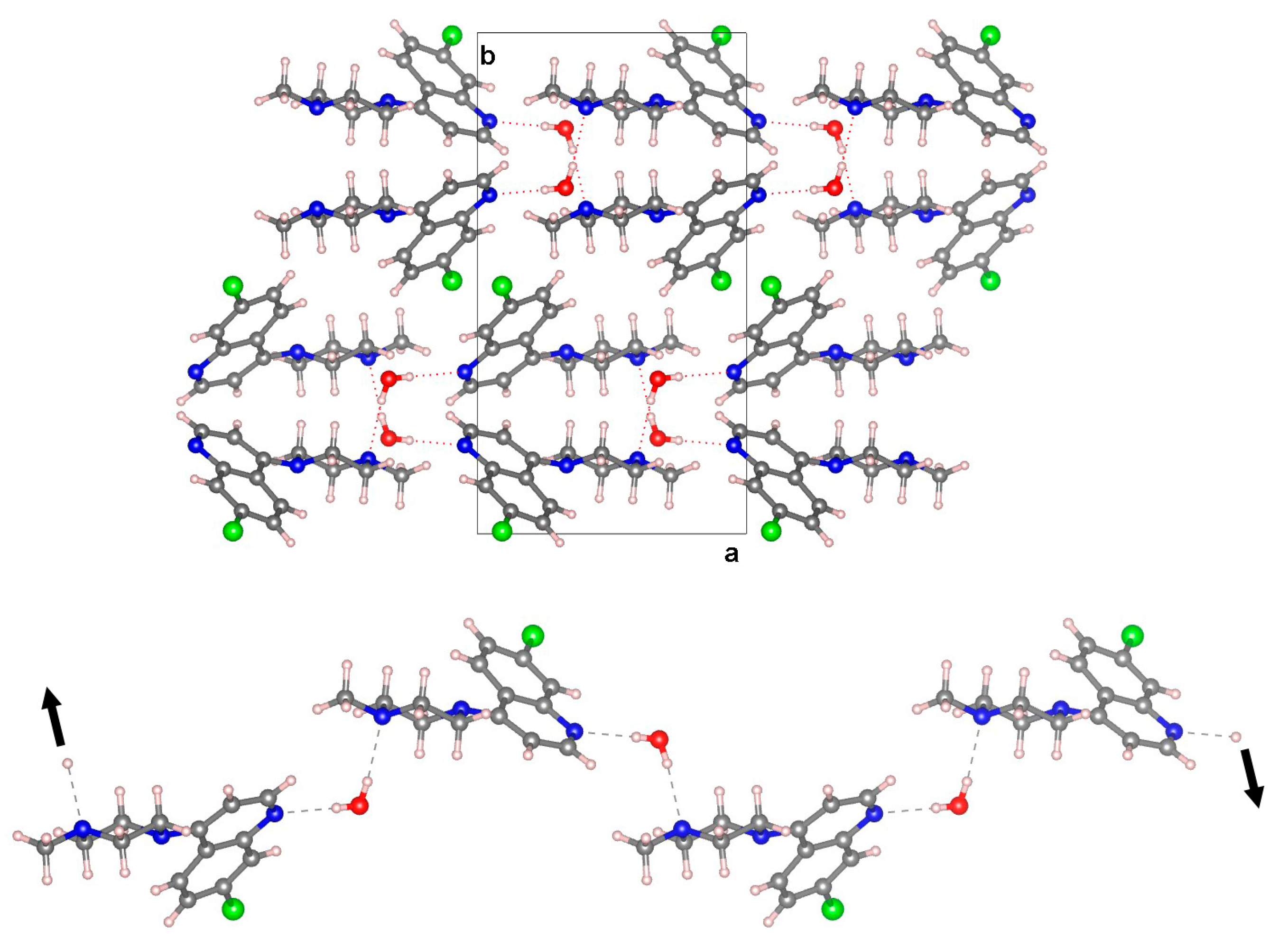 Molbank 2025 m2016 g002