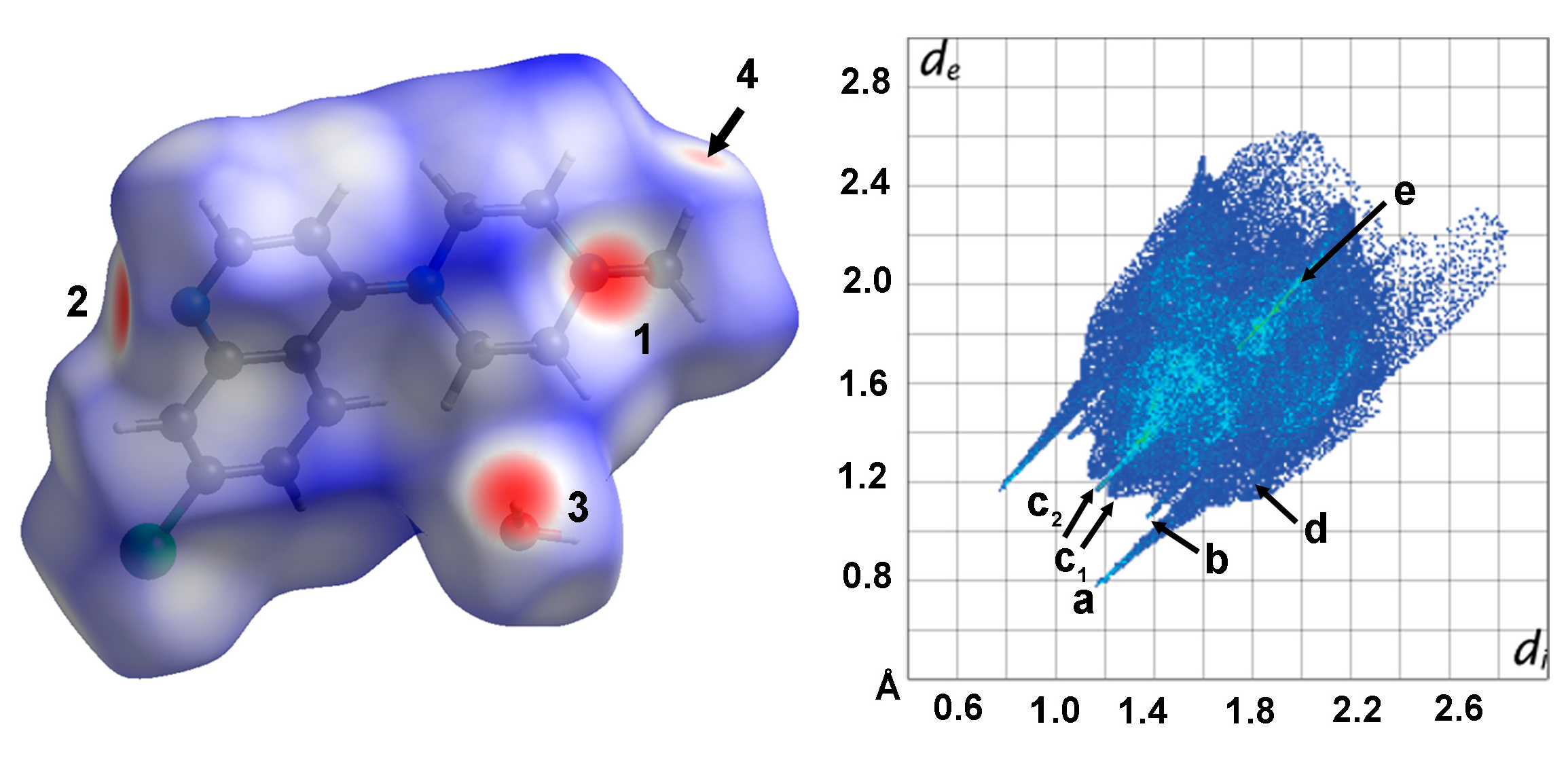 Molbank 2025 m2016 g003