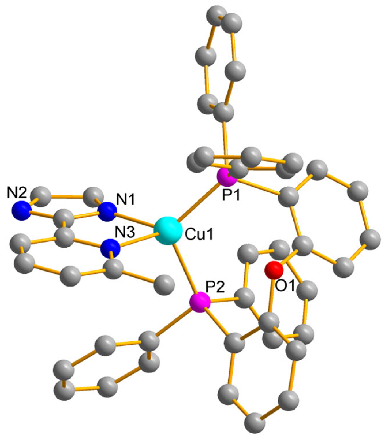 Molbank 2025 m2019 g001