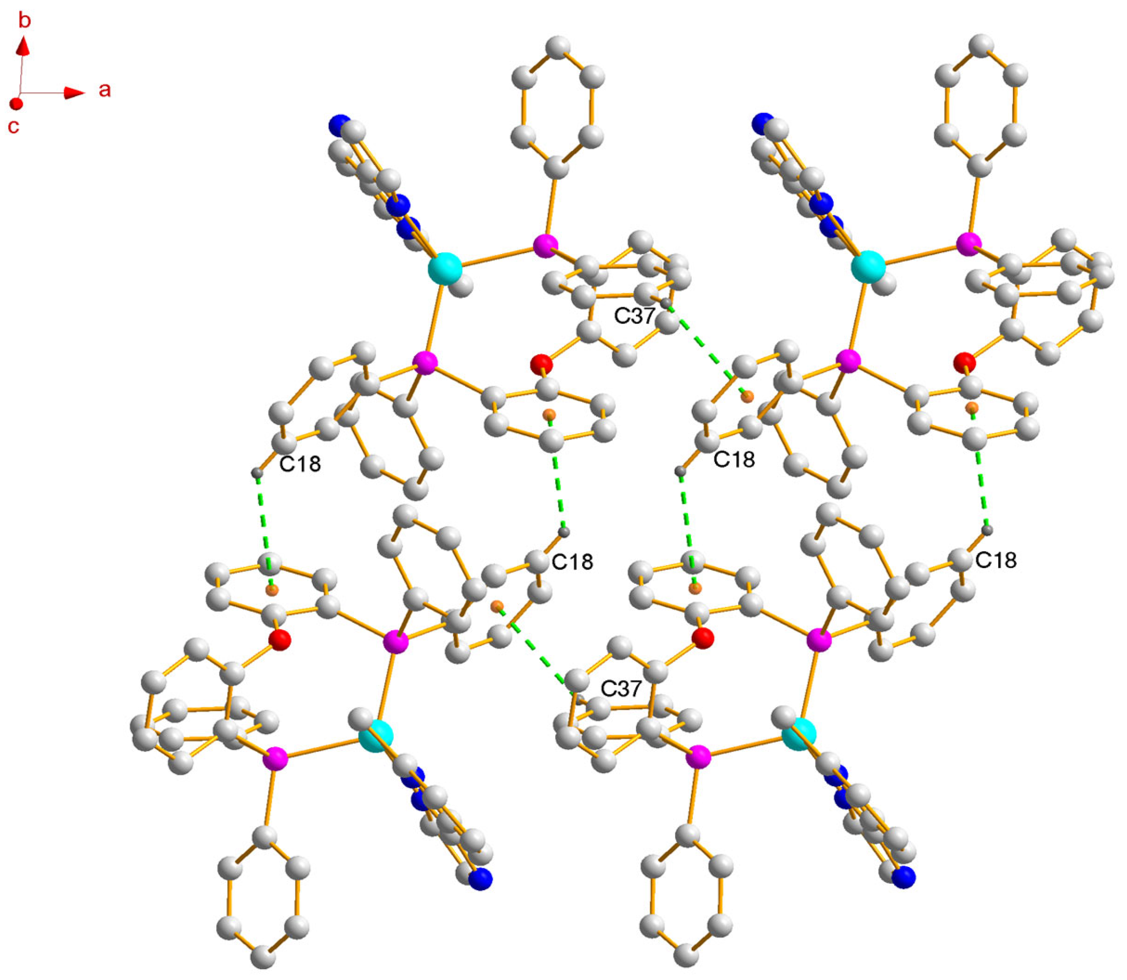 Molbank 2025 m2019 g002