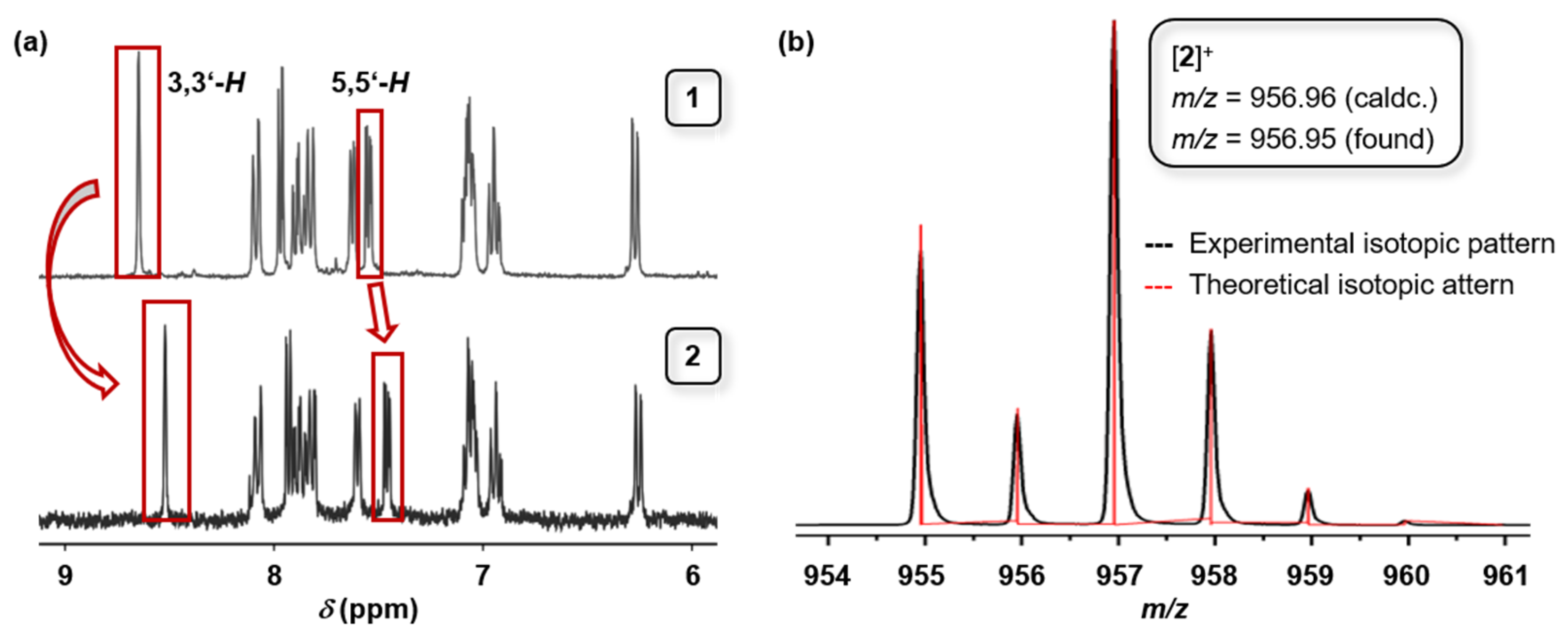 Molbank 2025 m2024 g001
