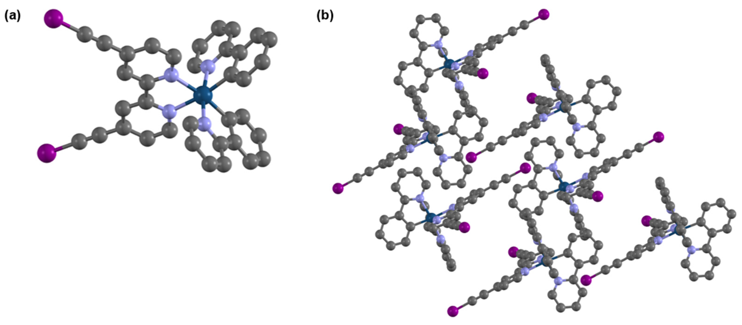 Molbank 2025 m2024 g002