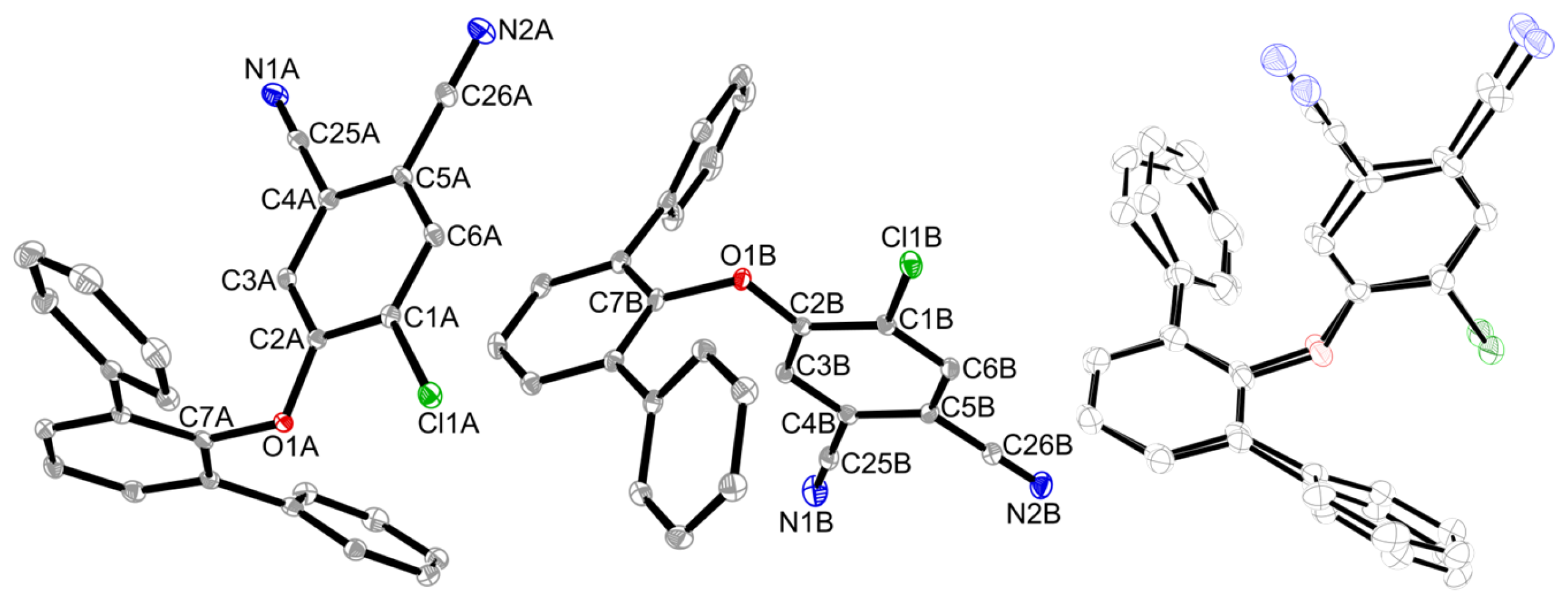 Molbank 2025 m2028 g001