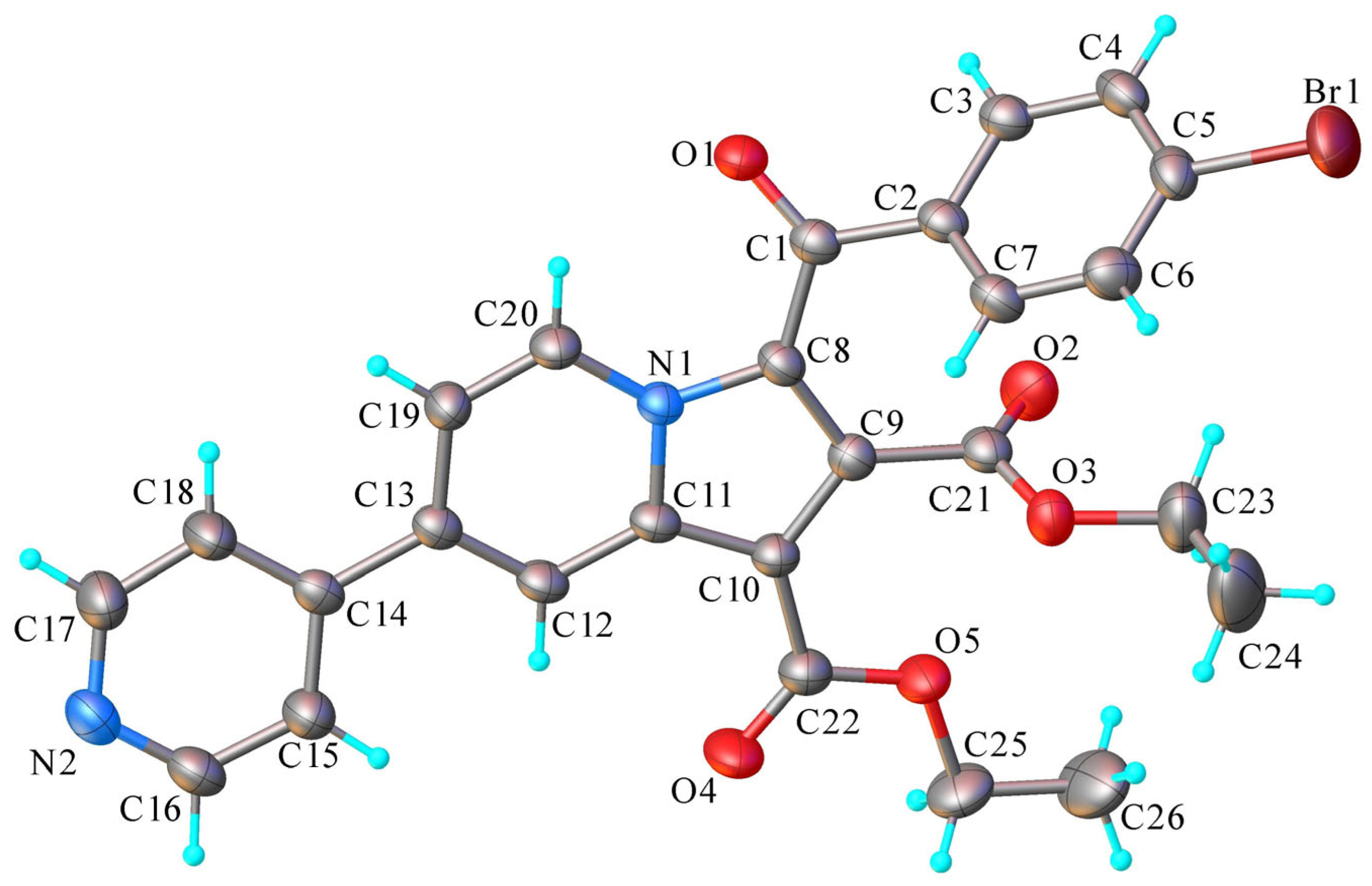 Molbank 2025 m2032 g002
