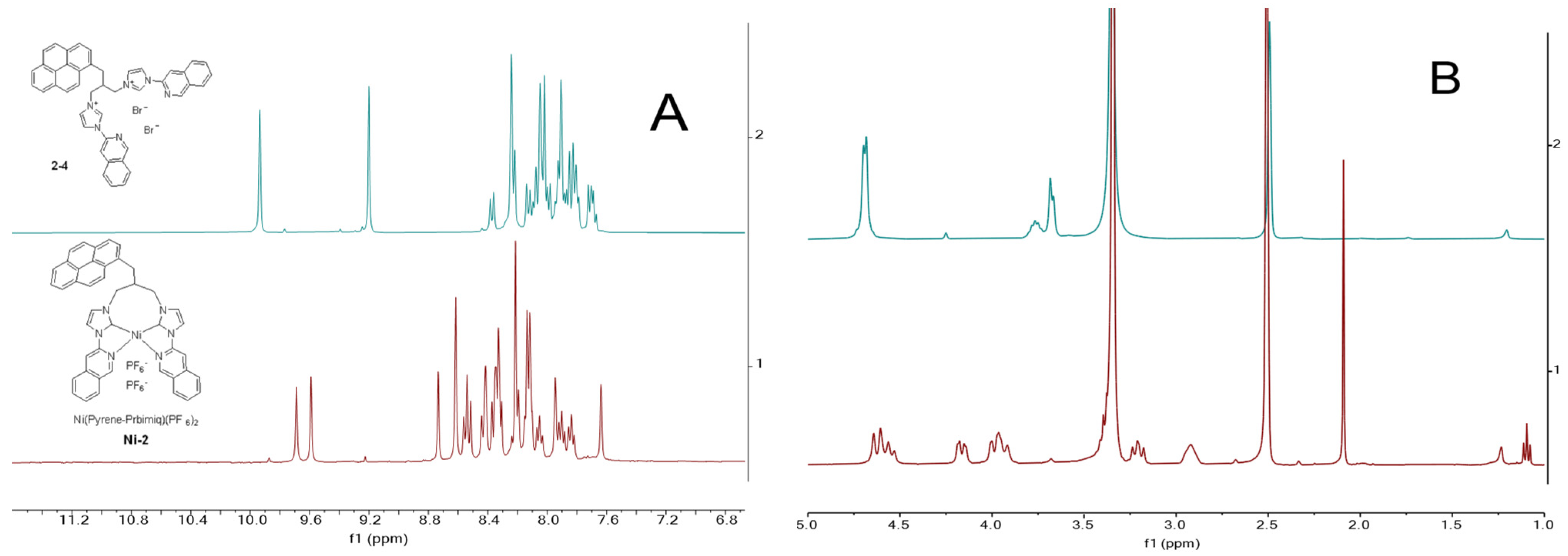 Molbank 2025 m2035 g001 Molbank 2025 m2035 g001