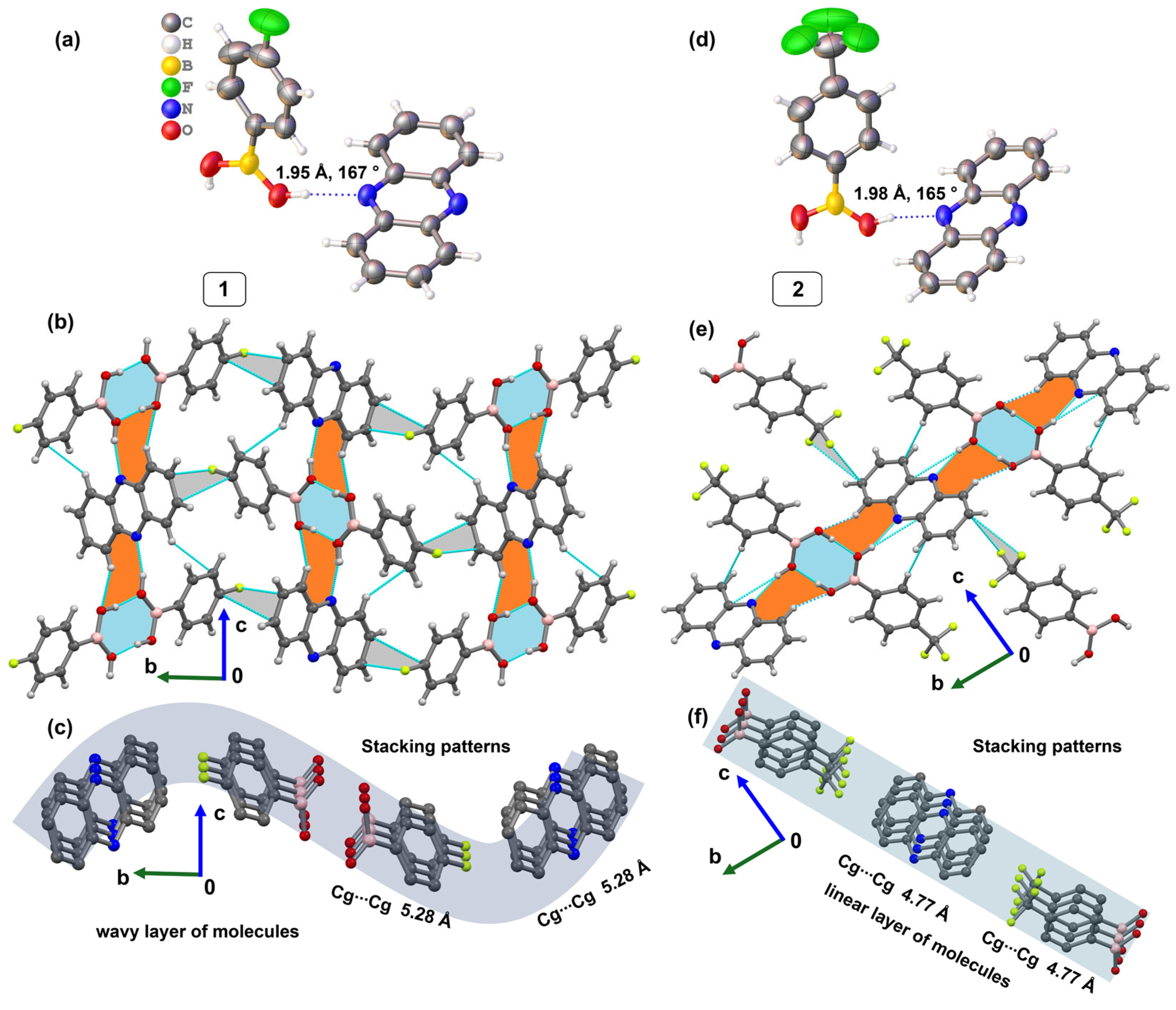 Molbank 2025 m2036 g002