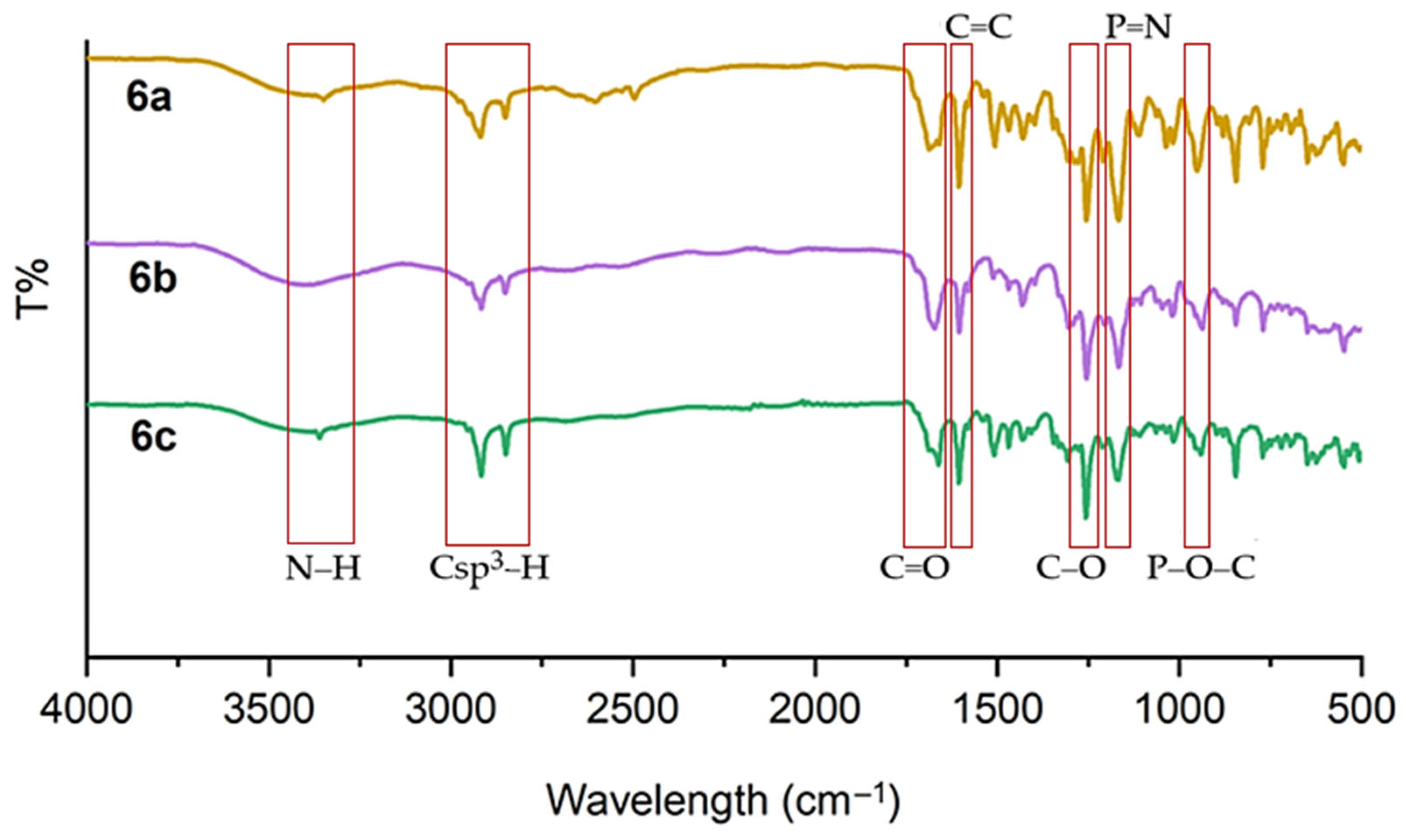 Molbank 2025 m2039 g002