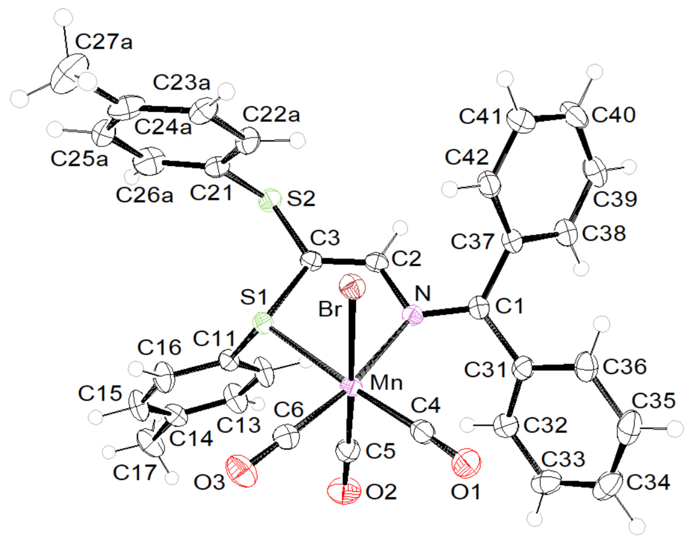 Molbank 2025 m2042 g002
