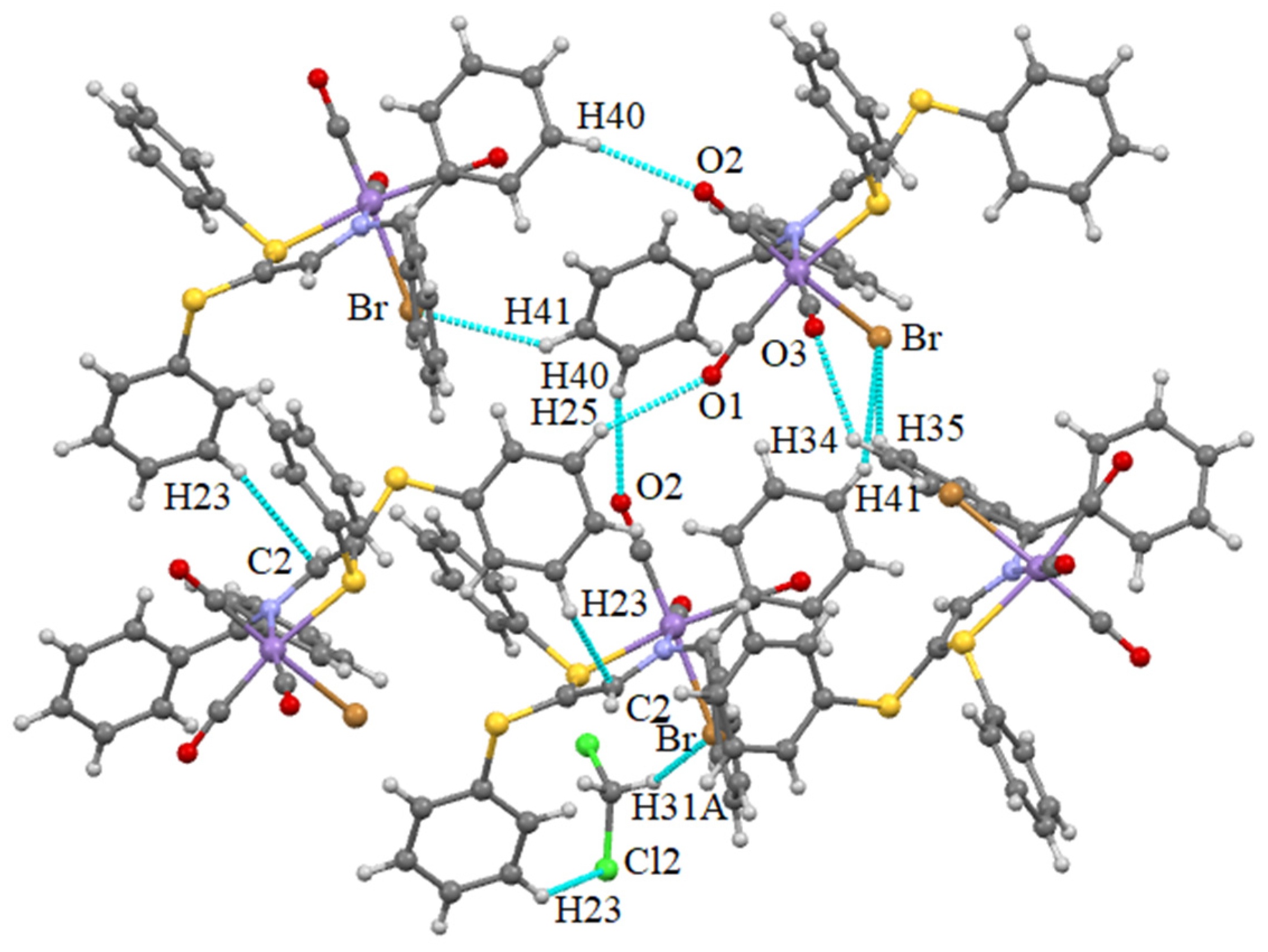 Molbank 2025 m2042 g003