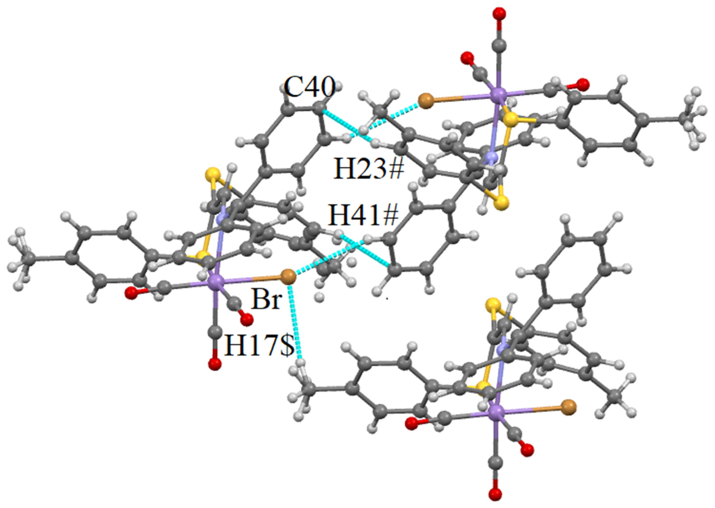 Molbank 2025 m2042 g008