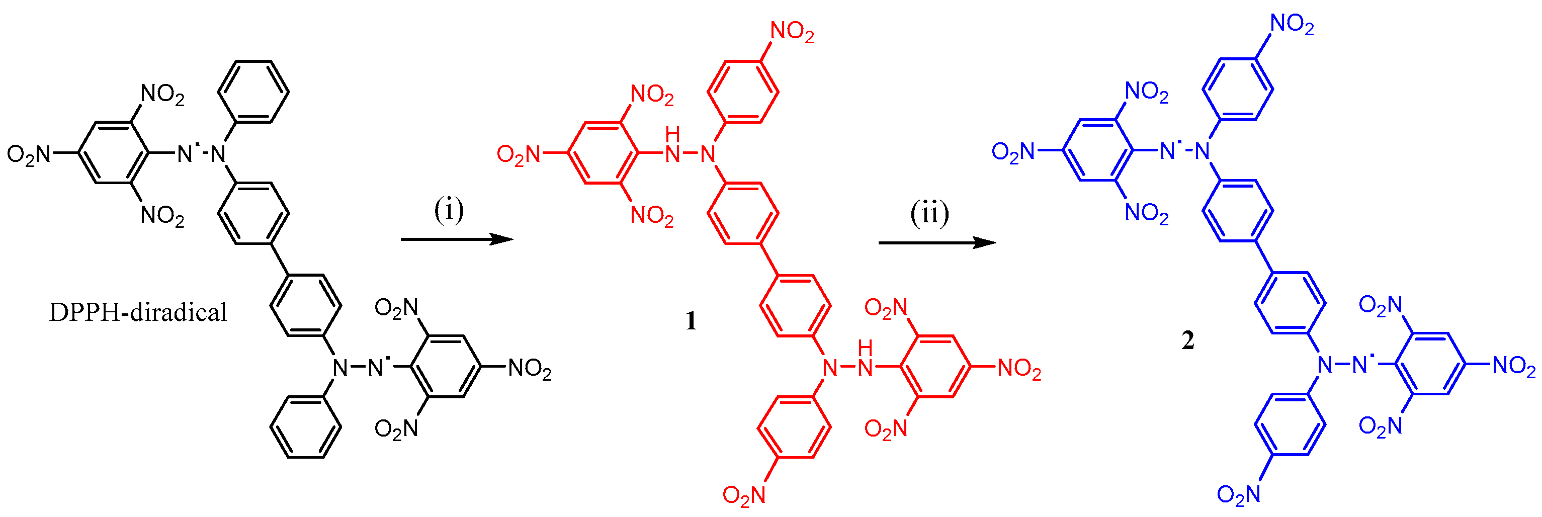 Molbank 2025 m2045 g001