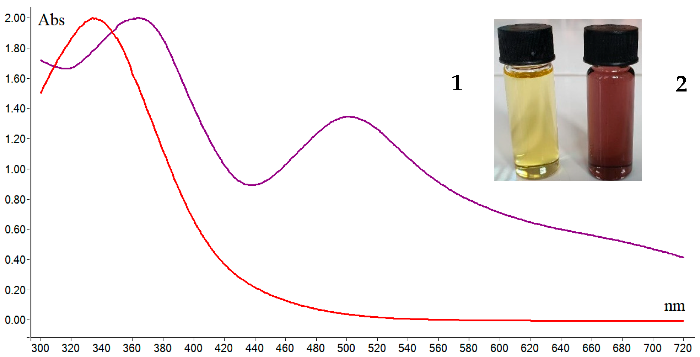 Molbank 2025 m2045 g002