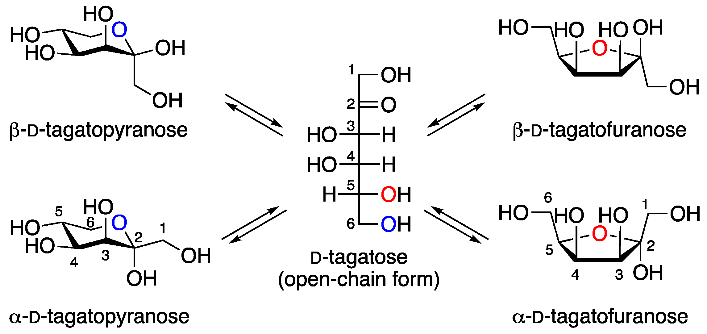 Molbank 2025 m2046 g001 Molbank 2025 m2046 g001