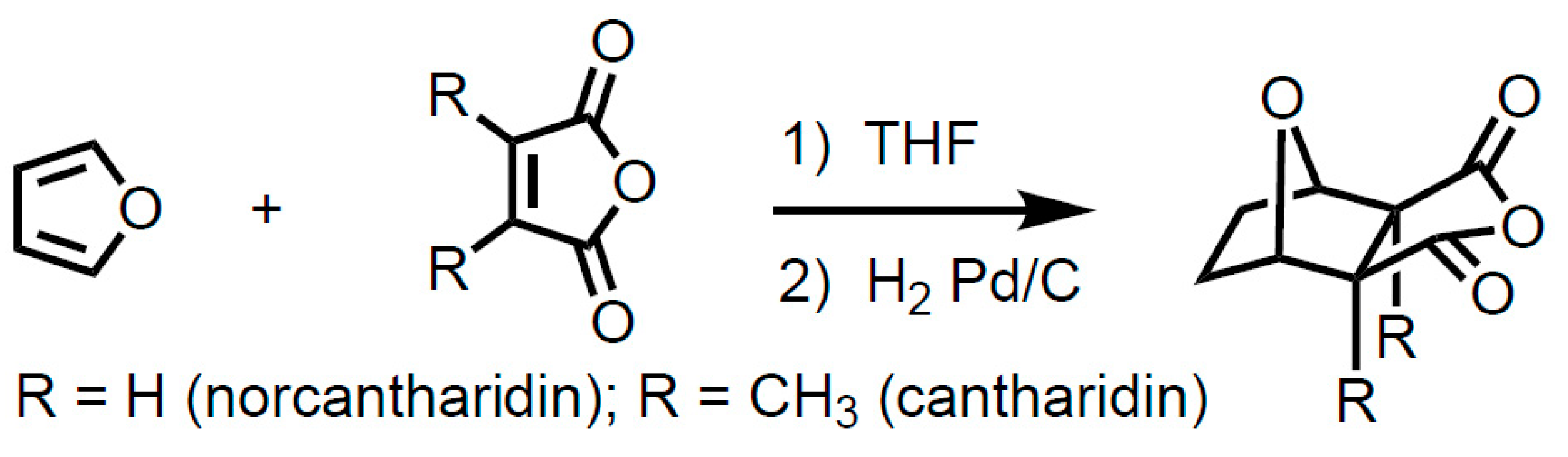 Molbank 2025 m2056 sch001