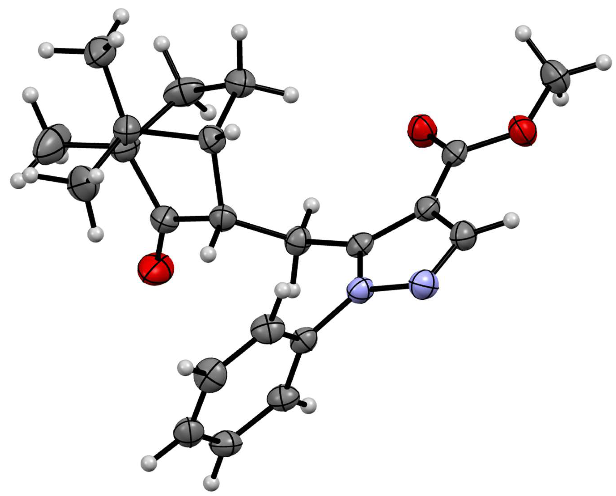 Molbank 2025 m2058 g001 Molbank 2025 m2058 g001