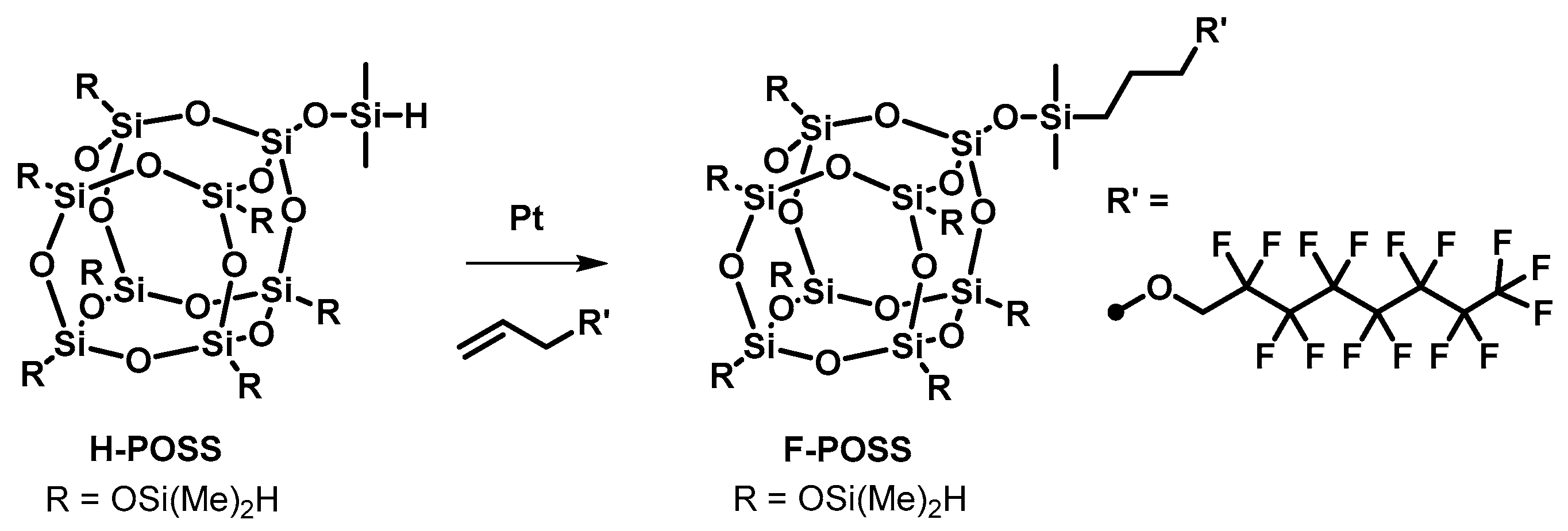 Molbank 2025 m2062 sch001 Molbank 2025 m2062 sch001