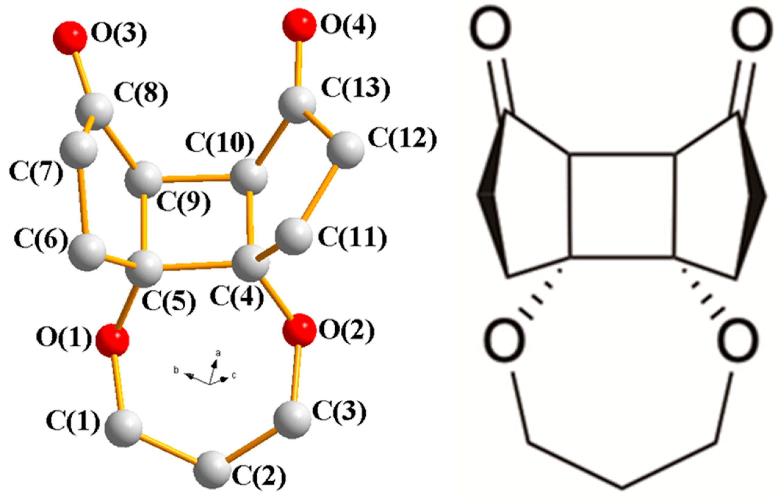 Molbank 2025 m2064 g002