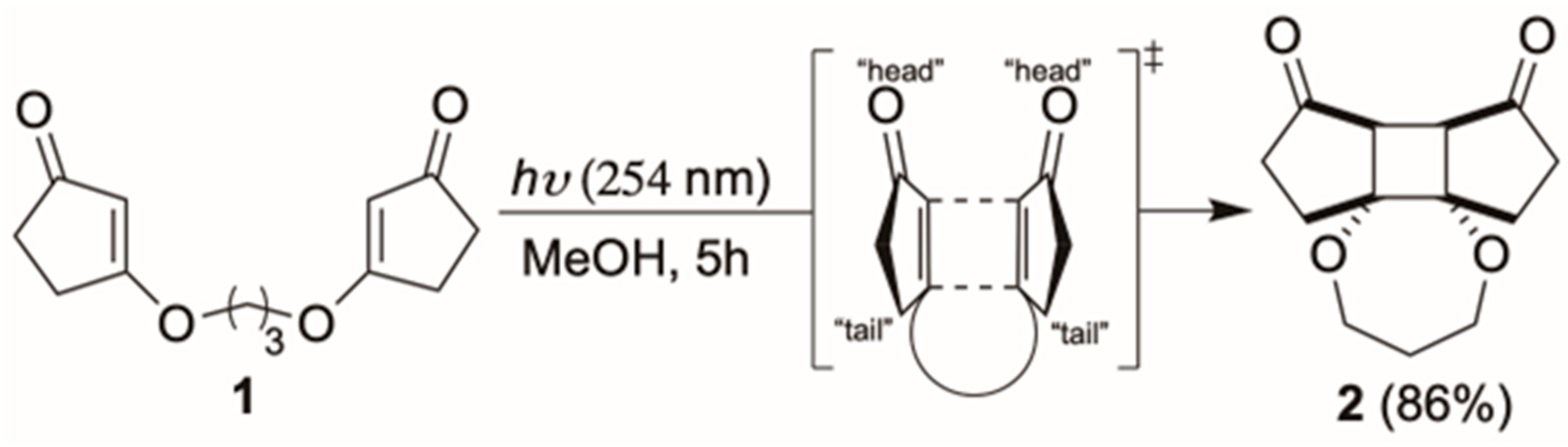 Molbank 2025 m2064 sch002