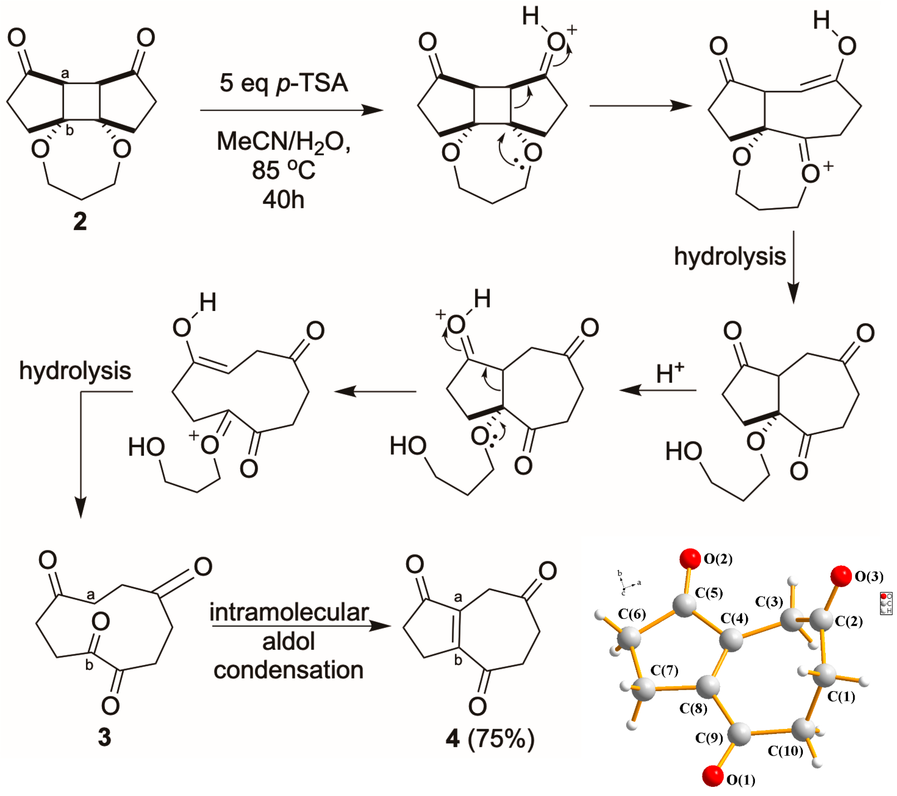 Molbank 2025 m2064 sch003