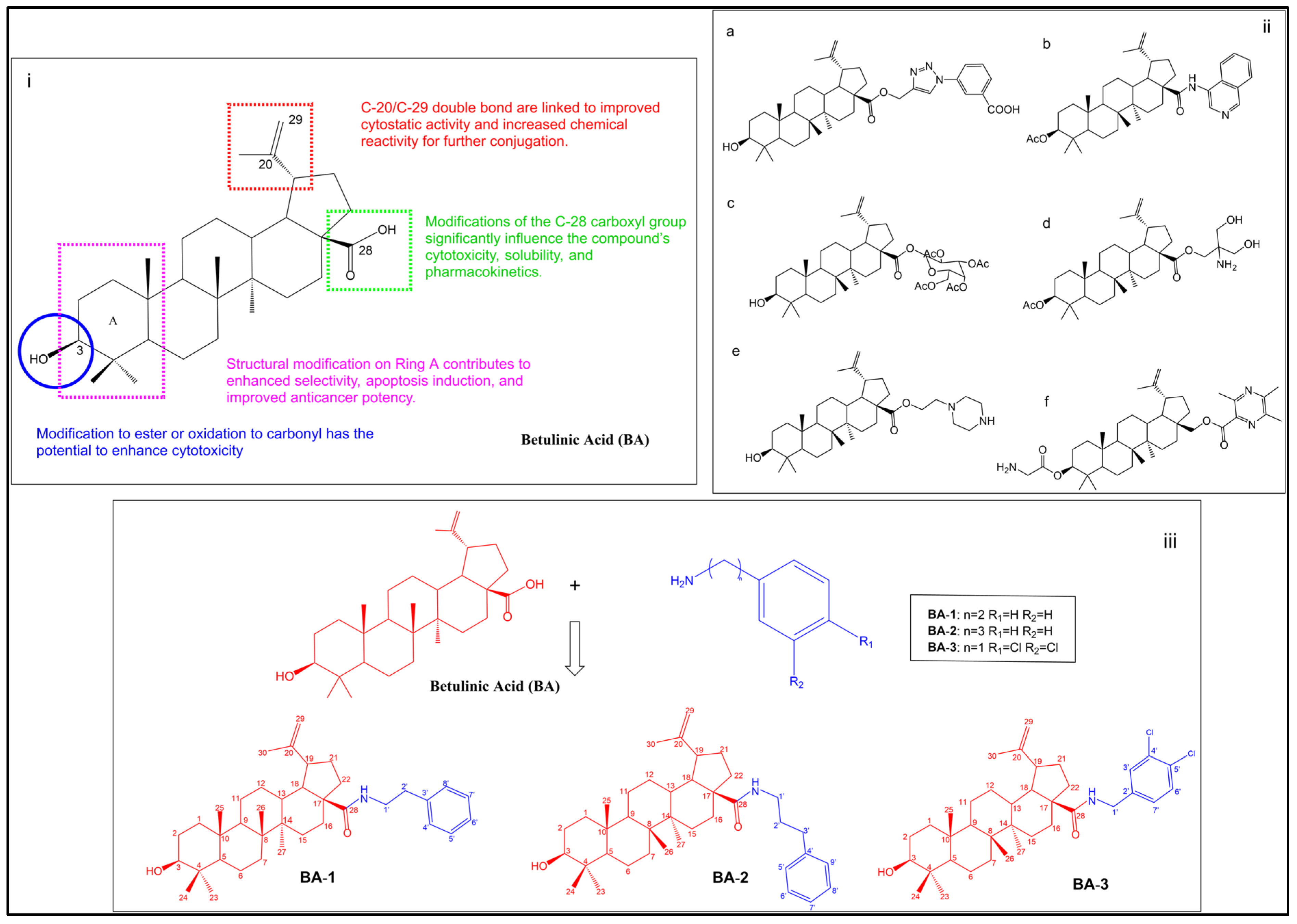 Molbank 2025 m2072 g001 Molbank 2025 m2072 g001