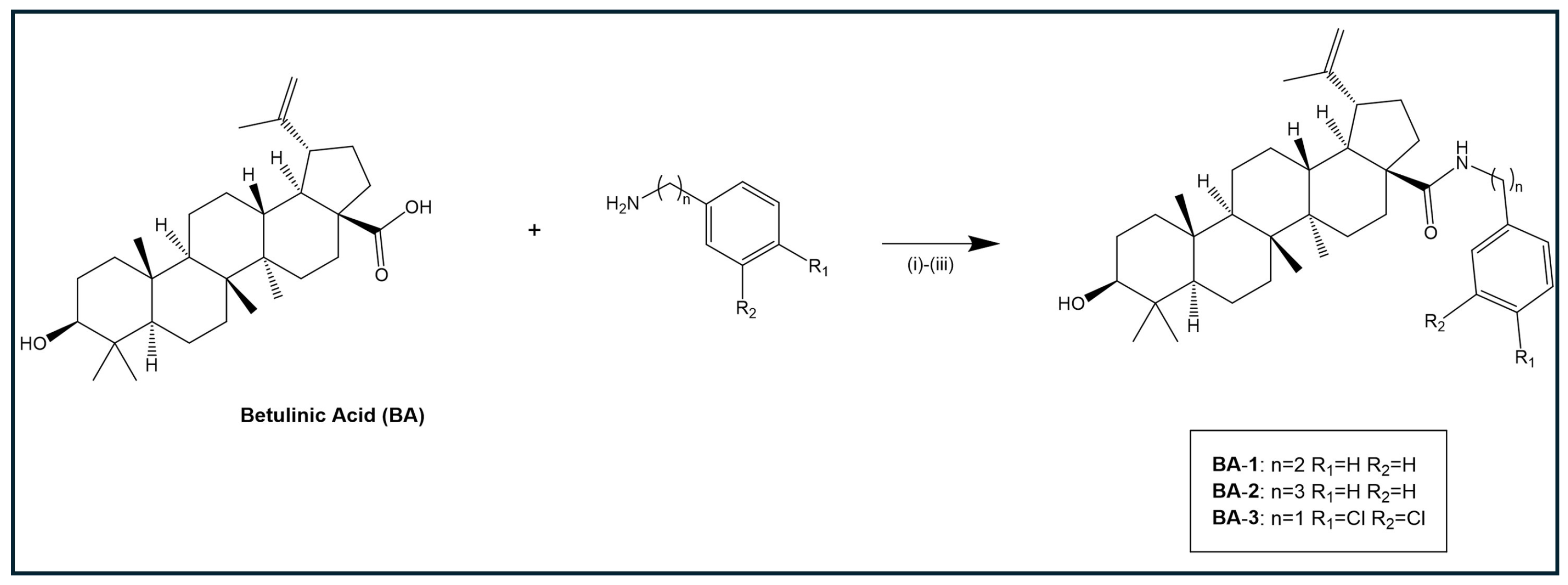 Molbank 2025 m2072 g002 Molbank 2025 m2072 g002