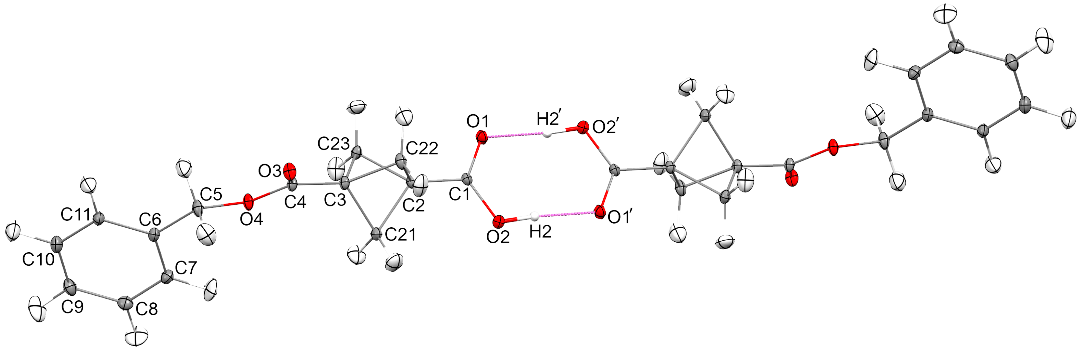 Molbank 2025 m2075 g001 Molbank 2025 m2075 g001