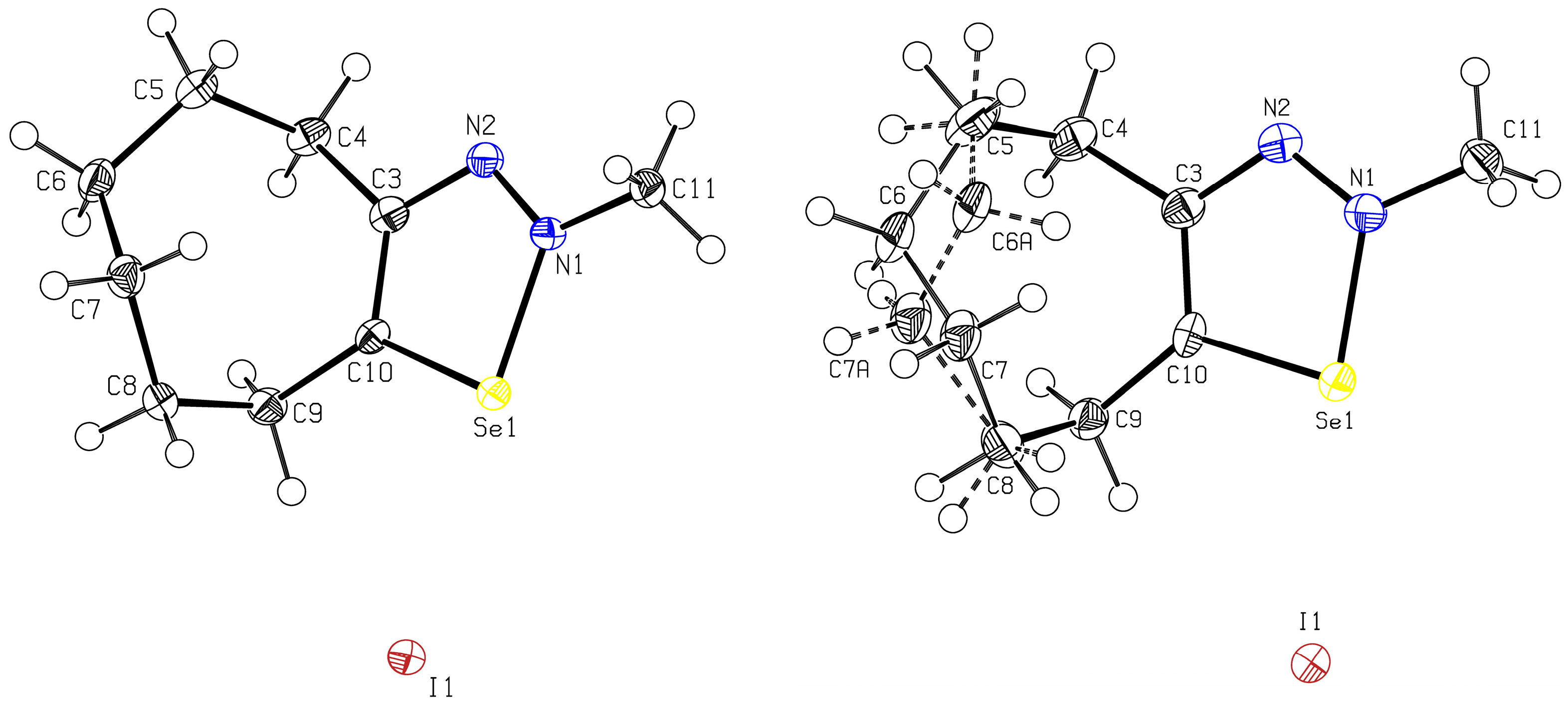 Molbank 2025 m2082 g001