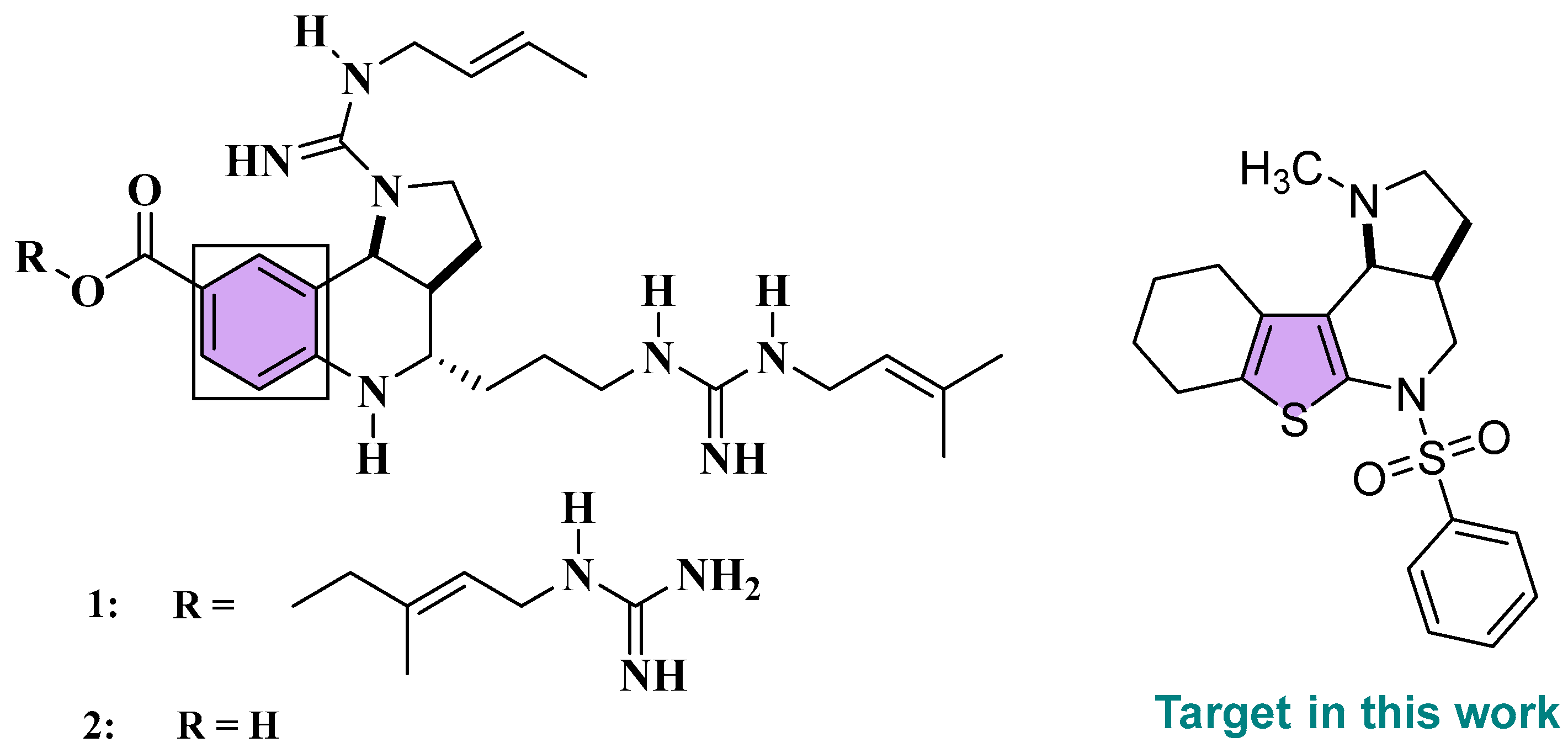 Molbank 2025 m2084 g001 Molbank 2025 m2084 g001