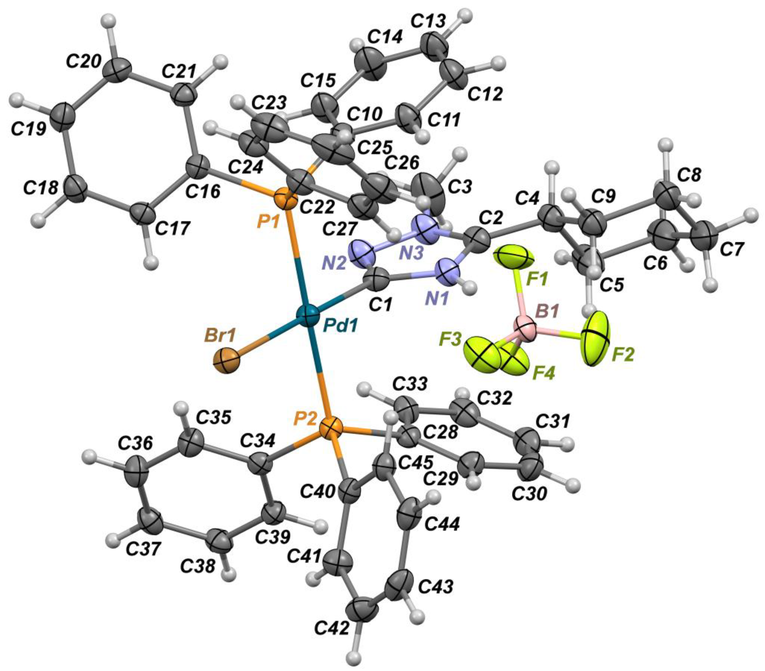 Molbank 2025 m2086 g001