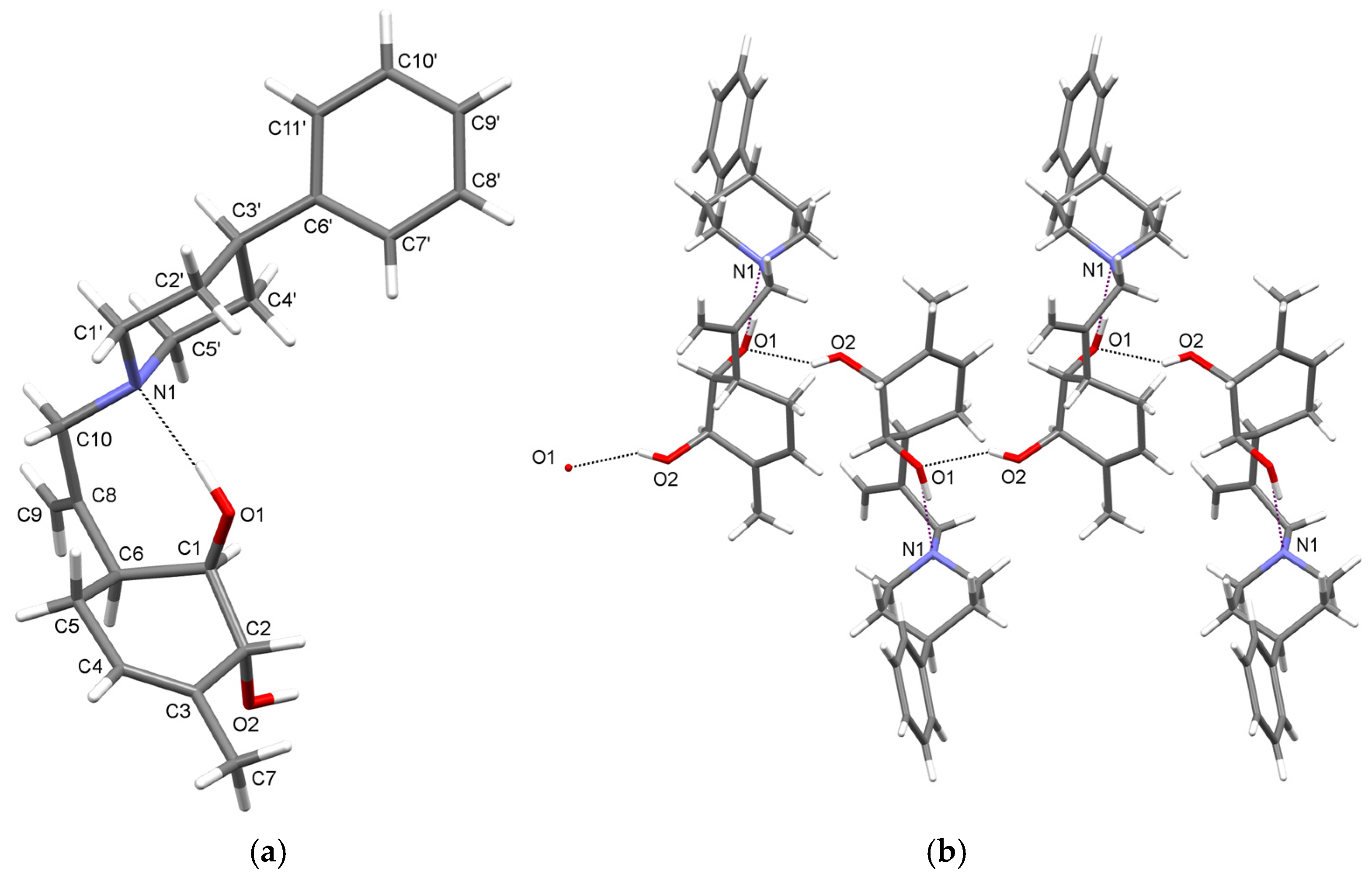 Molbank 2025 m2088 g001